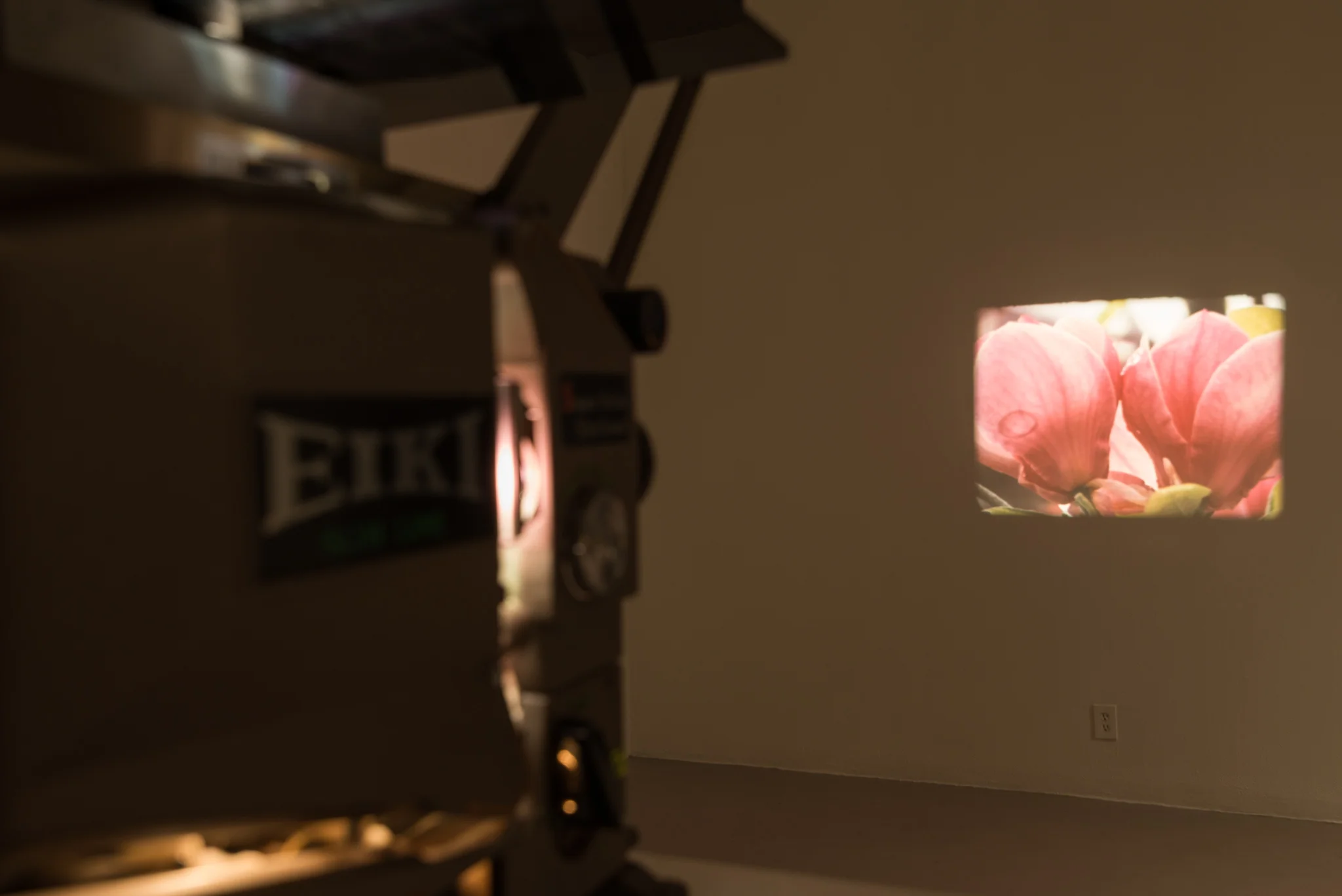 I can call this progress to halt LACE 4web-19.jpg