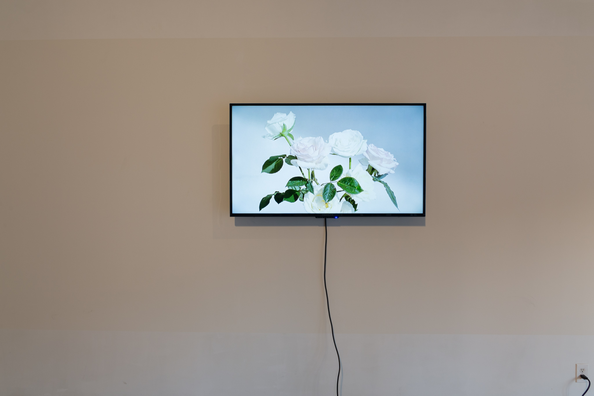 I can call this progress to halt LACE 4web-30.jpg