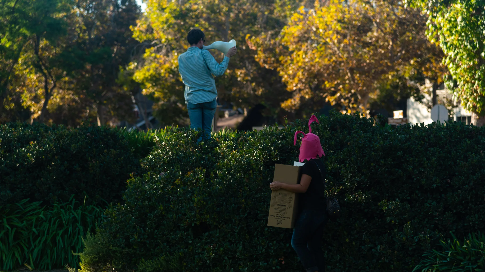 08 Alana Mann Bandmates AxS 2018.jpg