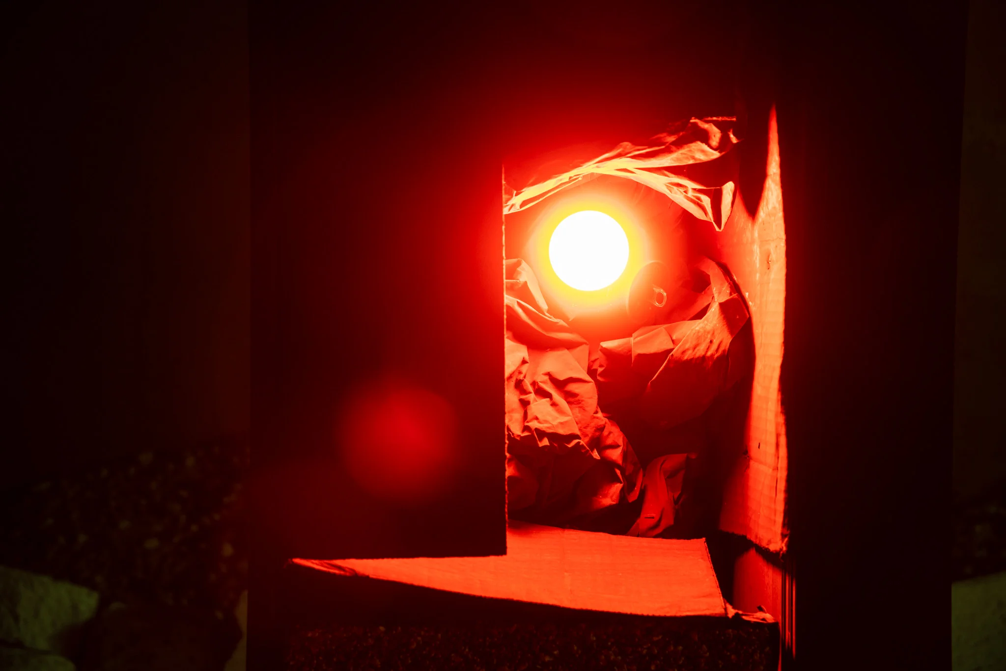 nicolas shake - the parks 19 4 web.jpg