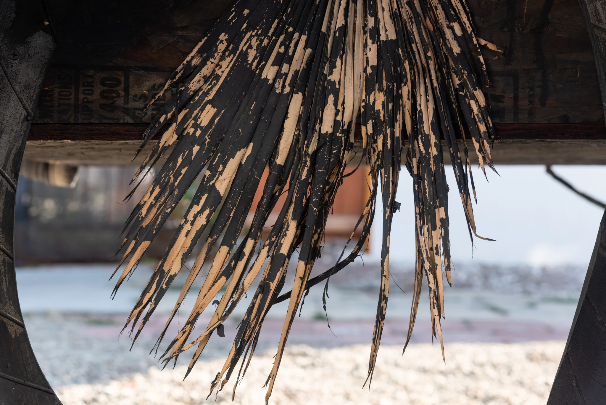 nicolas shake - the parks 35 4 web.jpg