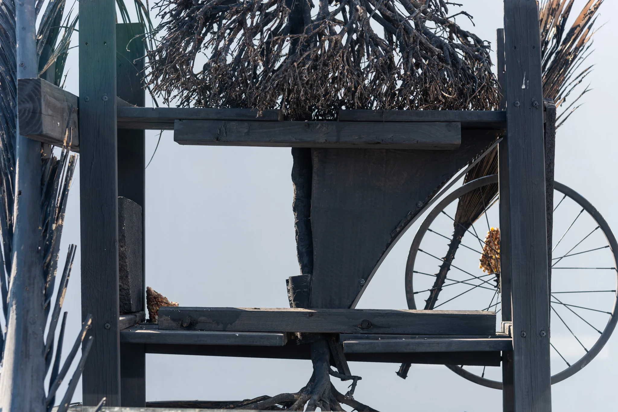 nicolas shake - the parks 37 4 web.jpg