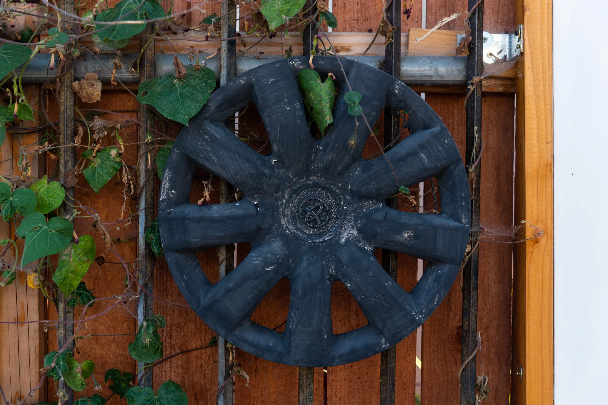 nicolas shake - the parks 41 4 web.jpg