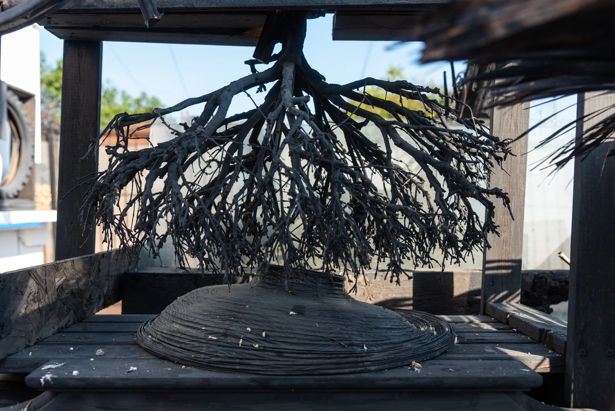 nicolas shake - the parks 45 4 web.jpg