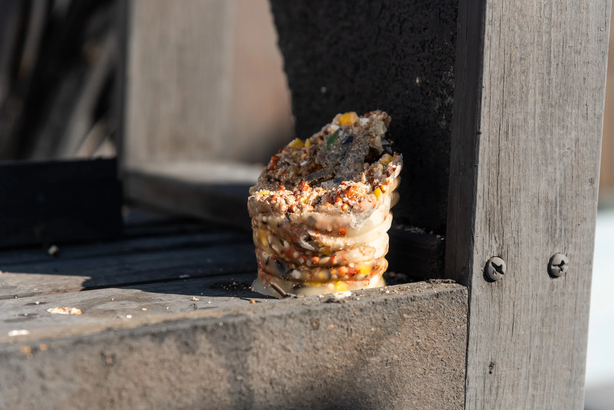 nicolas shake - the parks 48 4 web.jpg