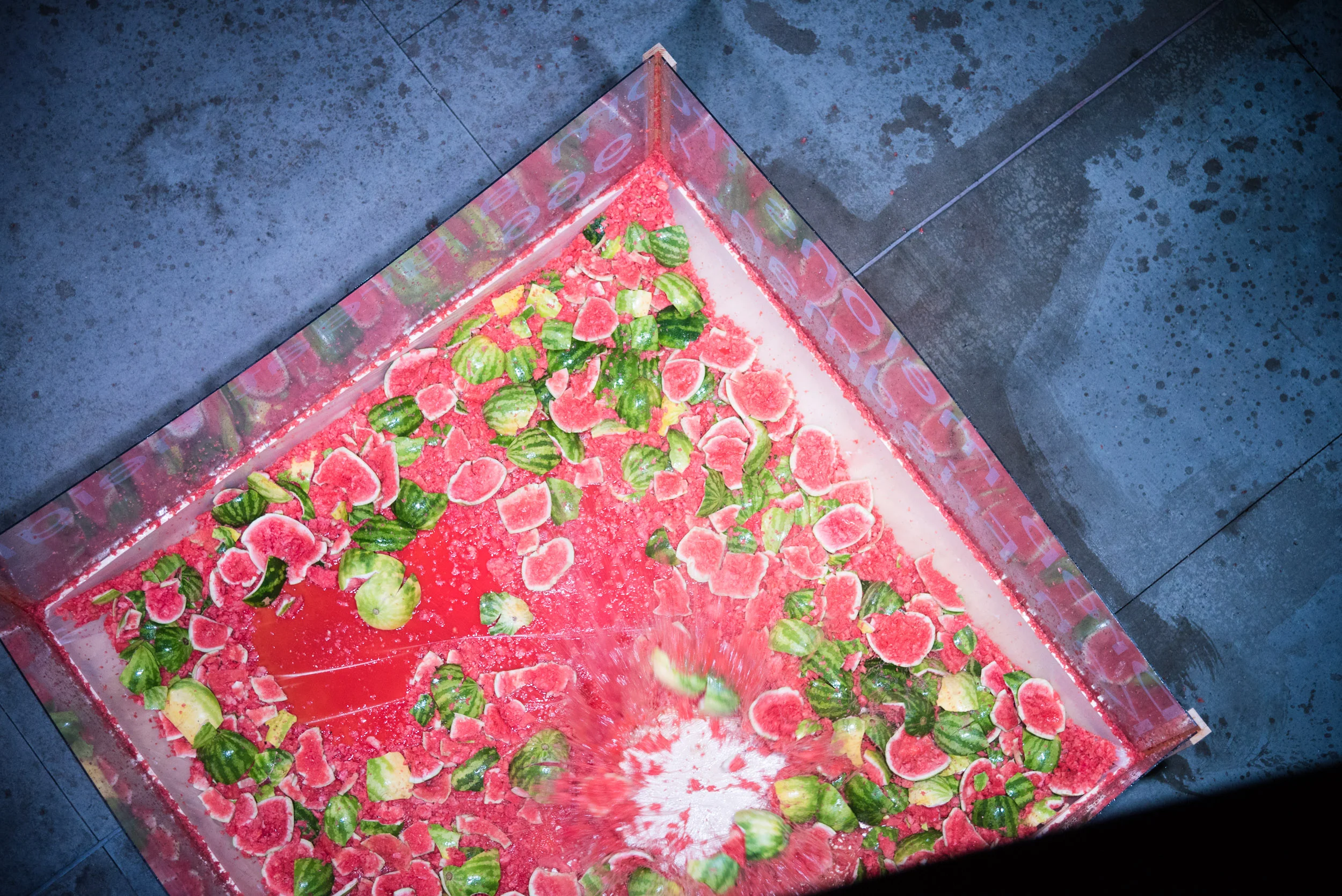 Fluxus Fluxconcert 11_17_2018 Christopher Wormald022.jpg