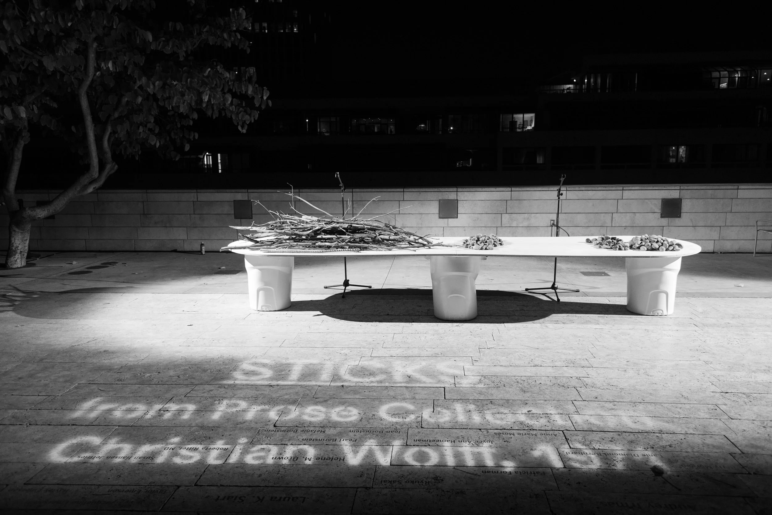 Fluxus Fluxconcert 11_17_2018 Christopher Wormald028.jpg