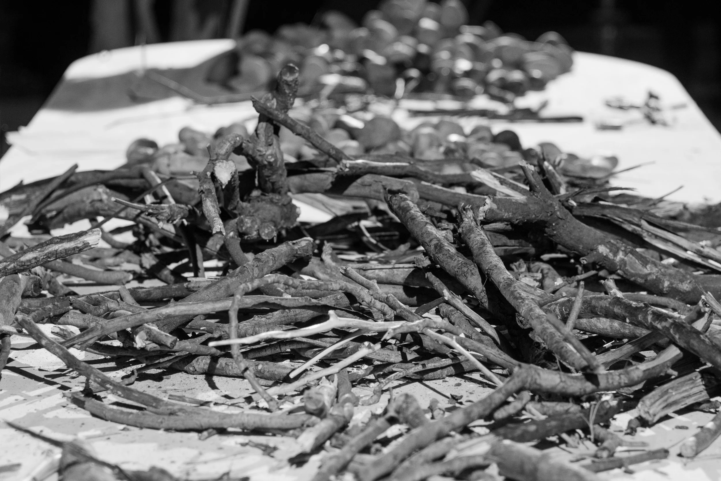 Fluxus Fluxconcert 11_17_2018 Christopher Wormald064.jpg