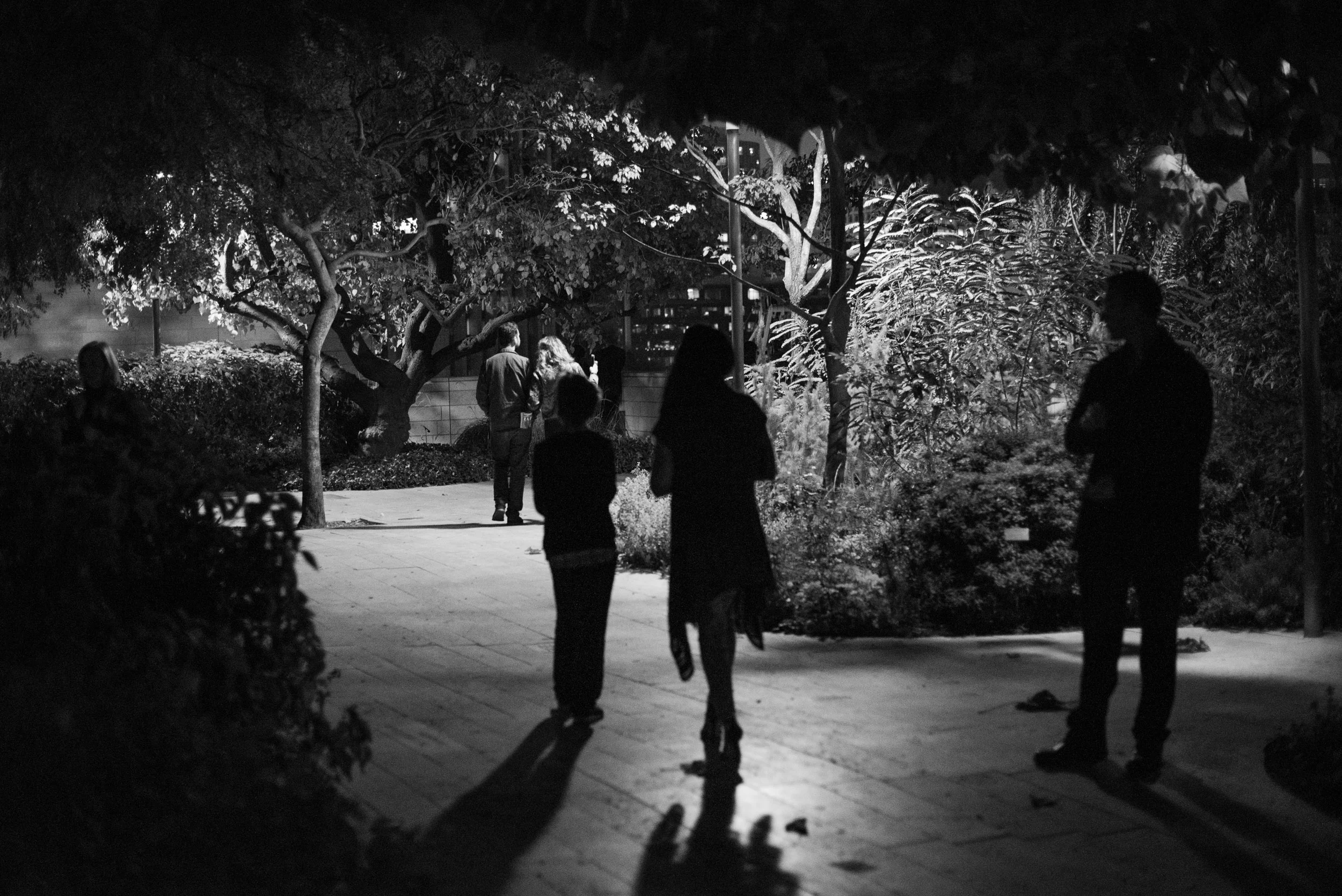 Fluxus Fluxconcert 11_17_2018 Christopher Wormald076.jpg