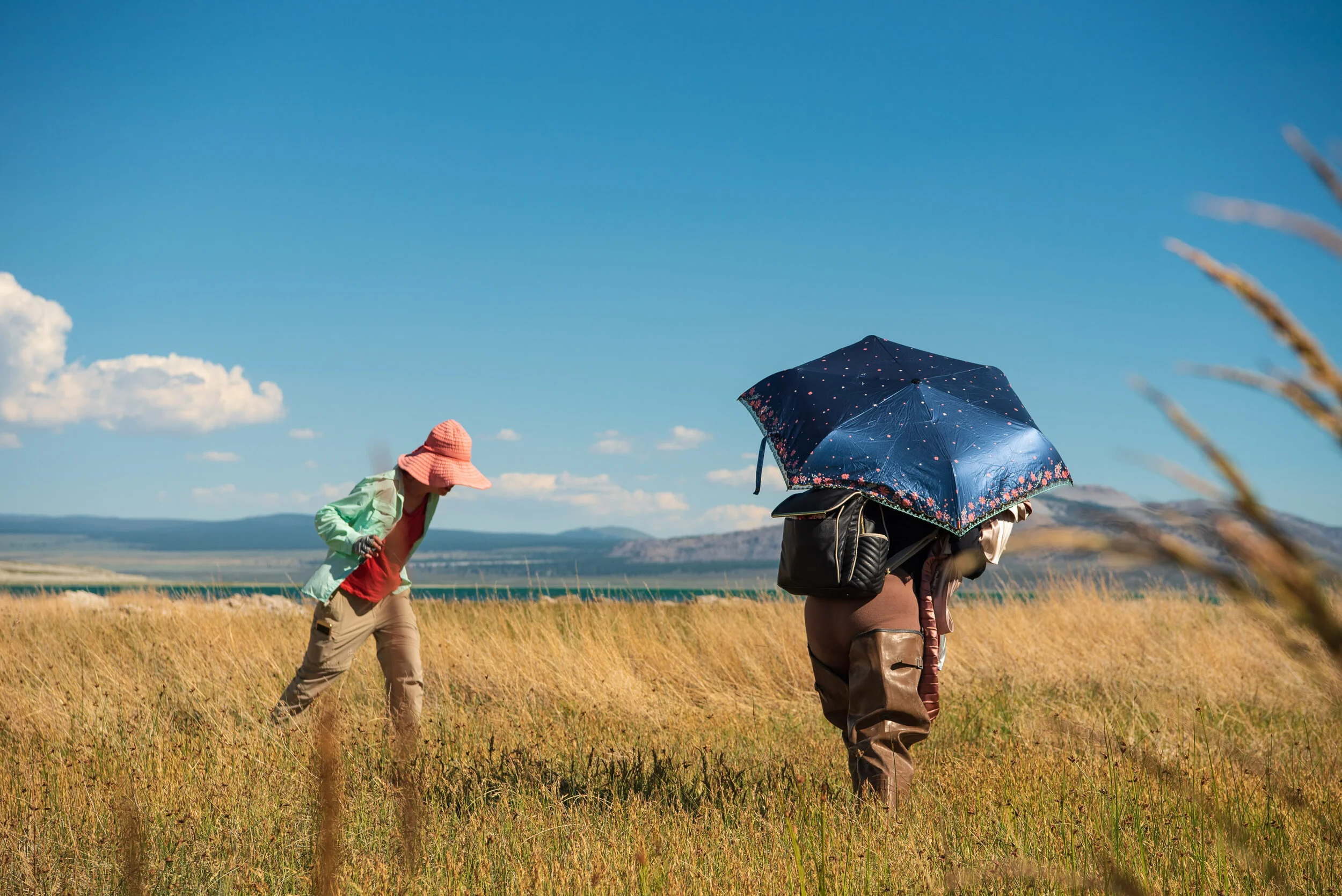 Mono Lake July 14.jpg