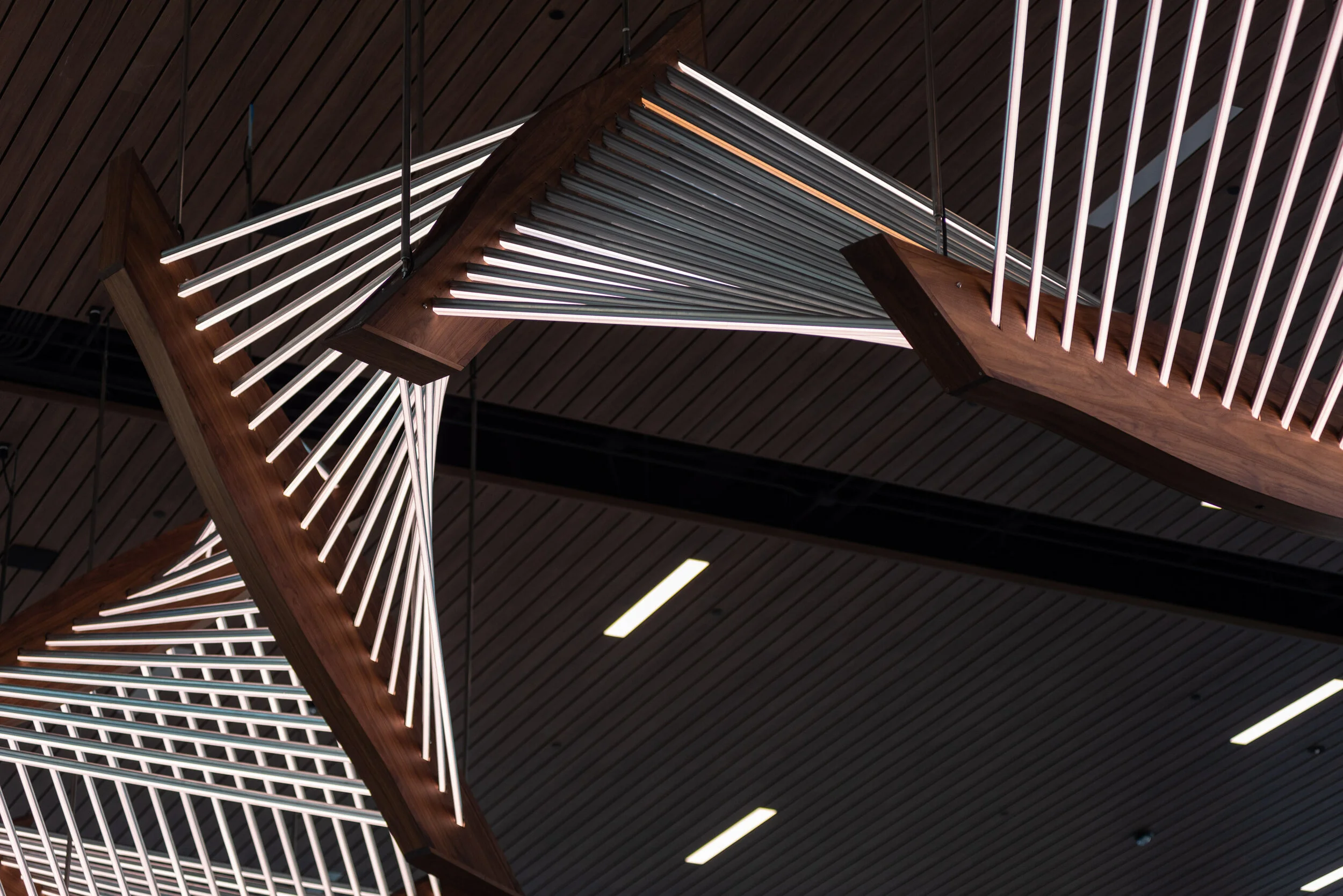 Lyrical Journeys Installation Photos by Christopher Wormald 4web_38.JPG