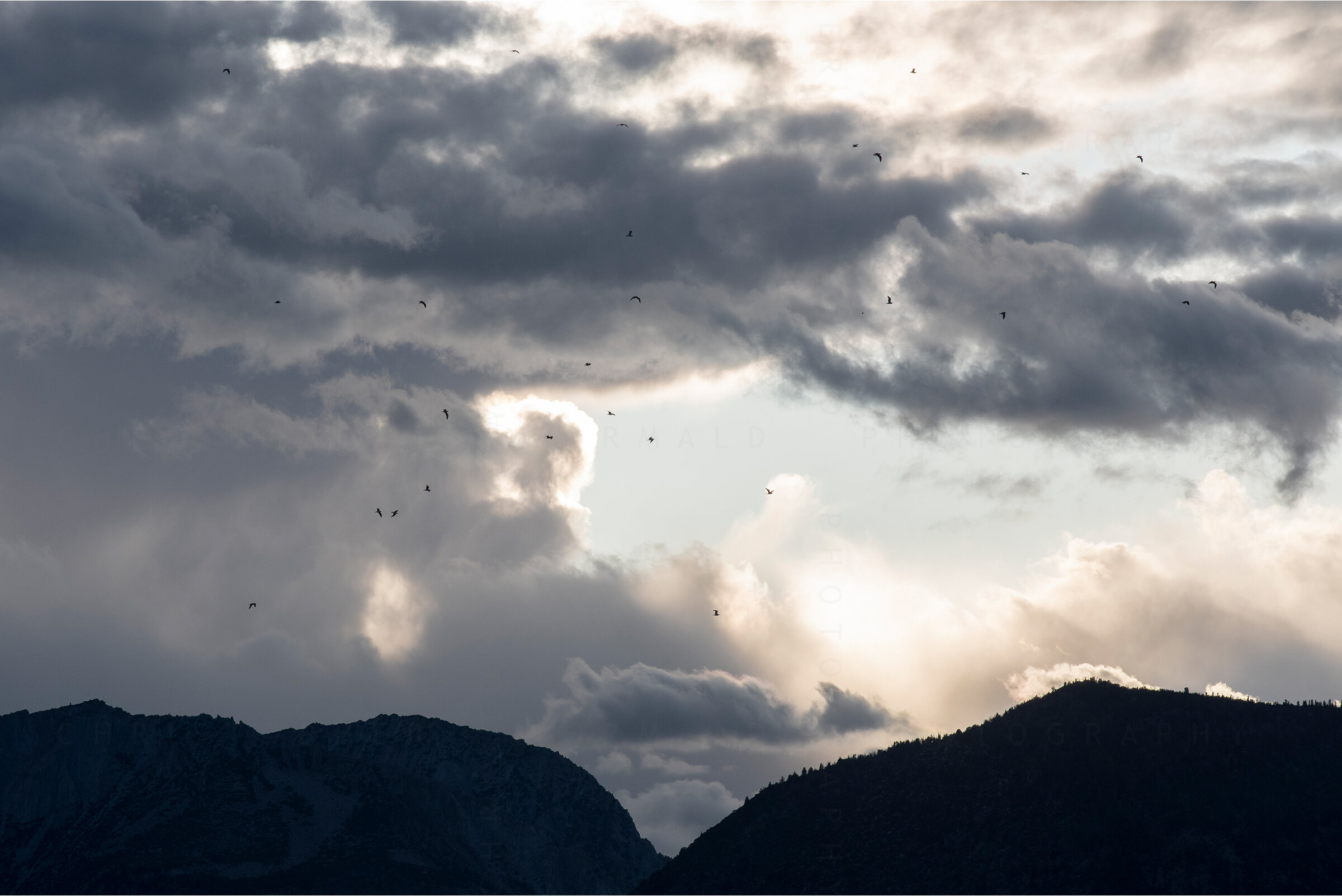 39_Christopher Steven Wormald Photography Gliding Over Peaks Watermark.jpg