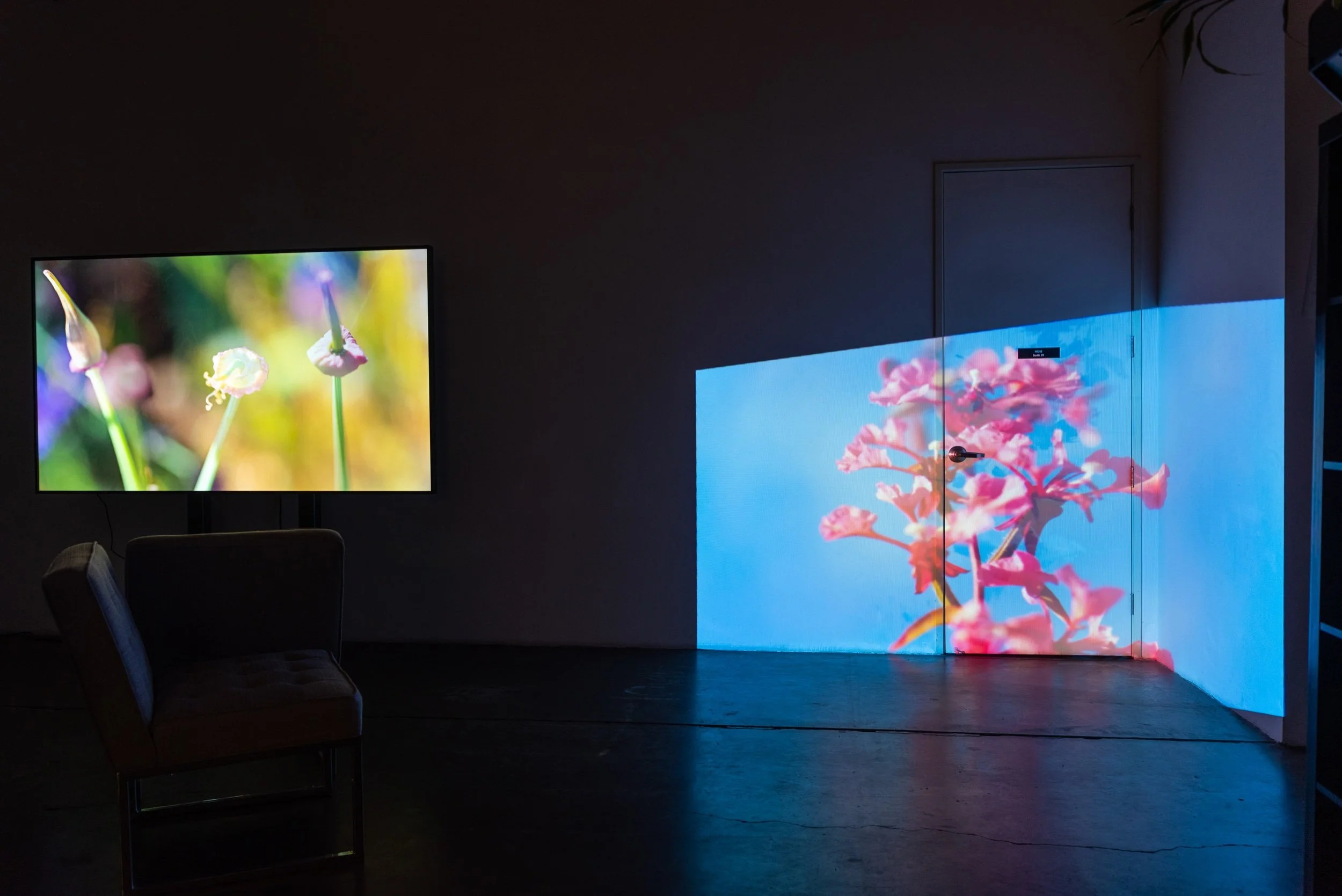 Fulcrum Festival - Halina Kliem and Daniel Rothman: The Ballona / Waachnga Project