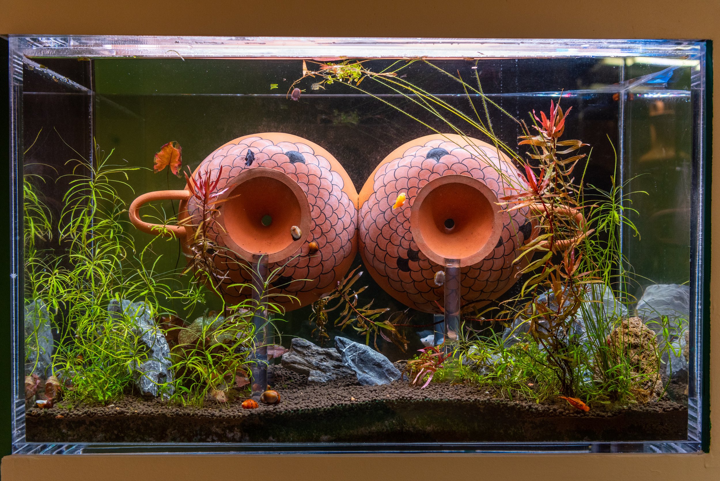 Cammie Staros - House of the Muses - 4web_27.JPG