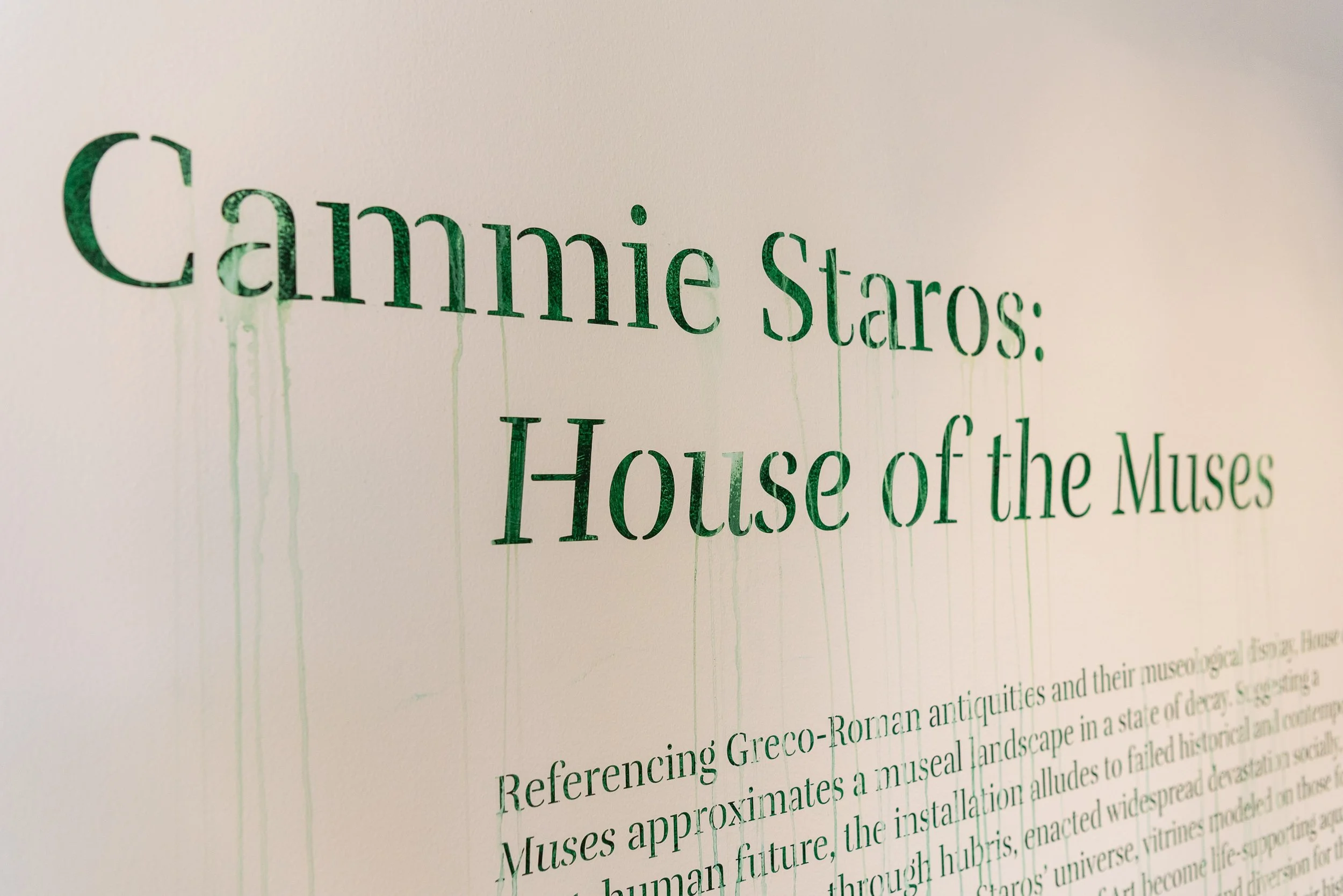 Cammie Staros - House of the Muses - 4web_34.JPG