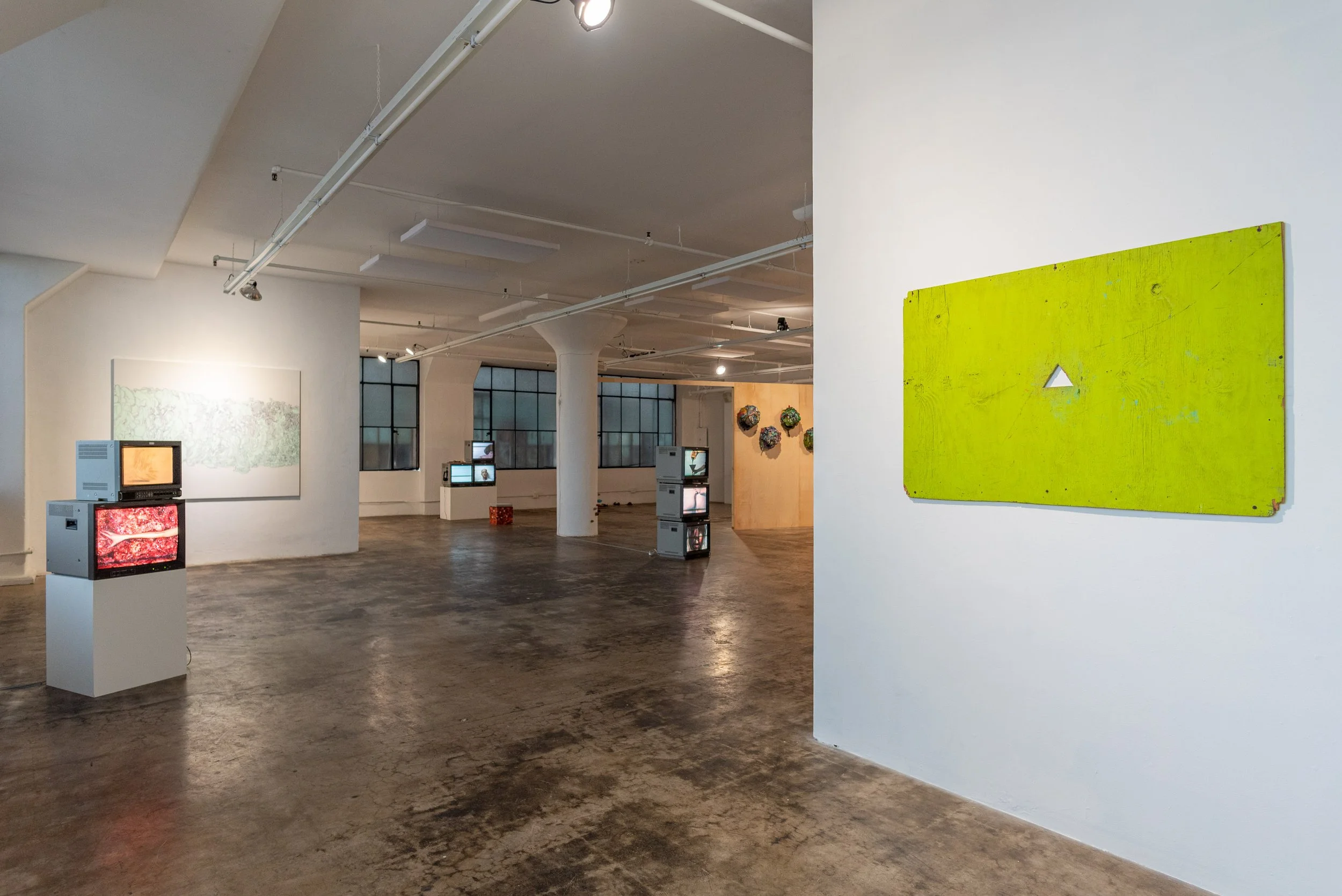 Aimee Goguen - Mountain of the Collapse - 4web_03.JPG