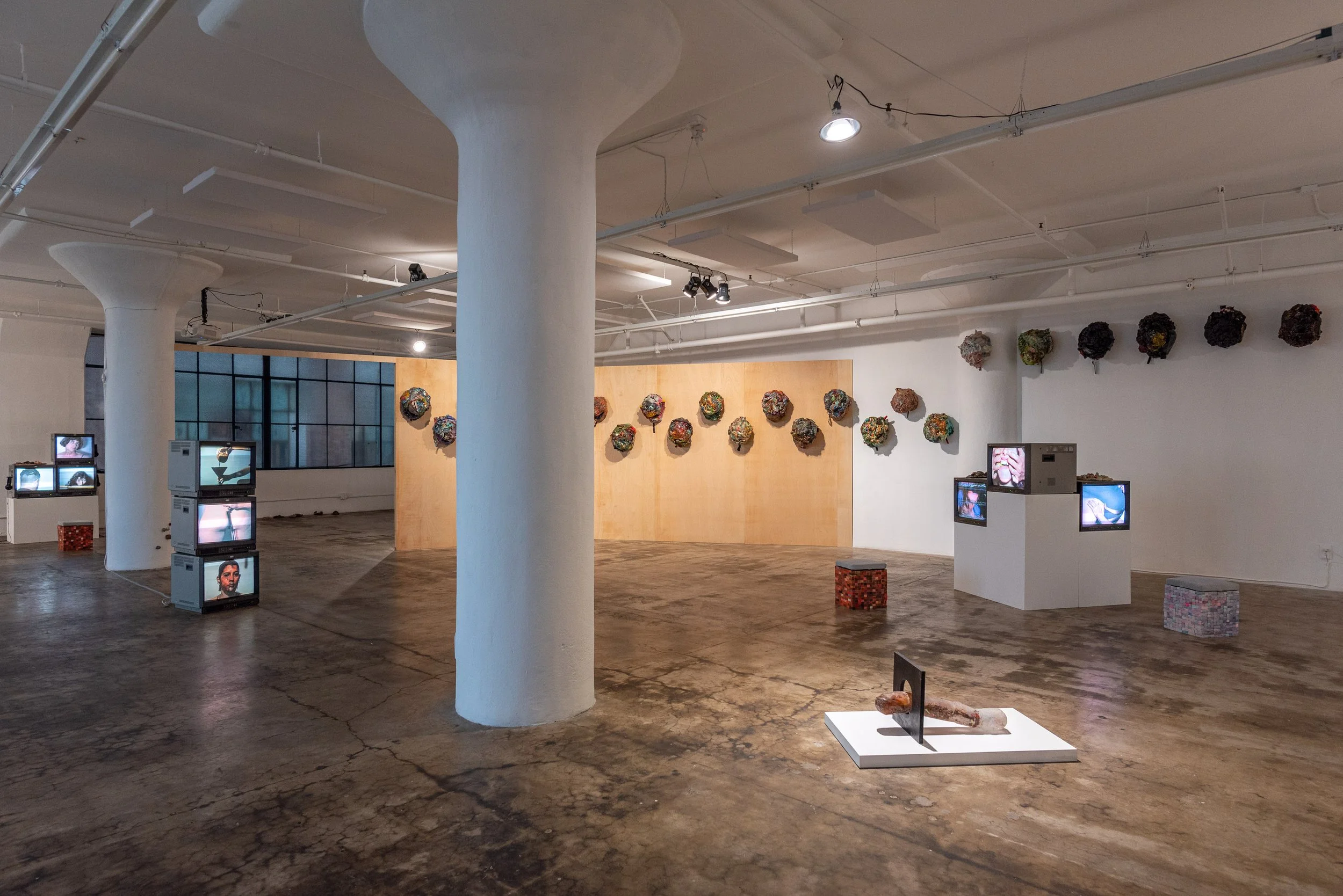 Aimee Goguen - Mountain of the Collapse - 4web_07.JPG