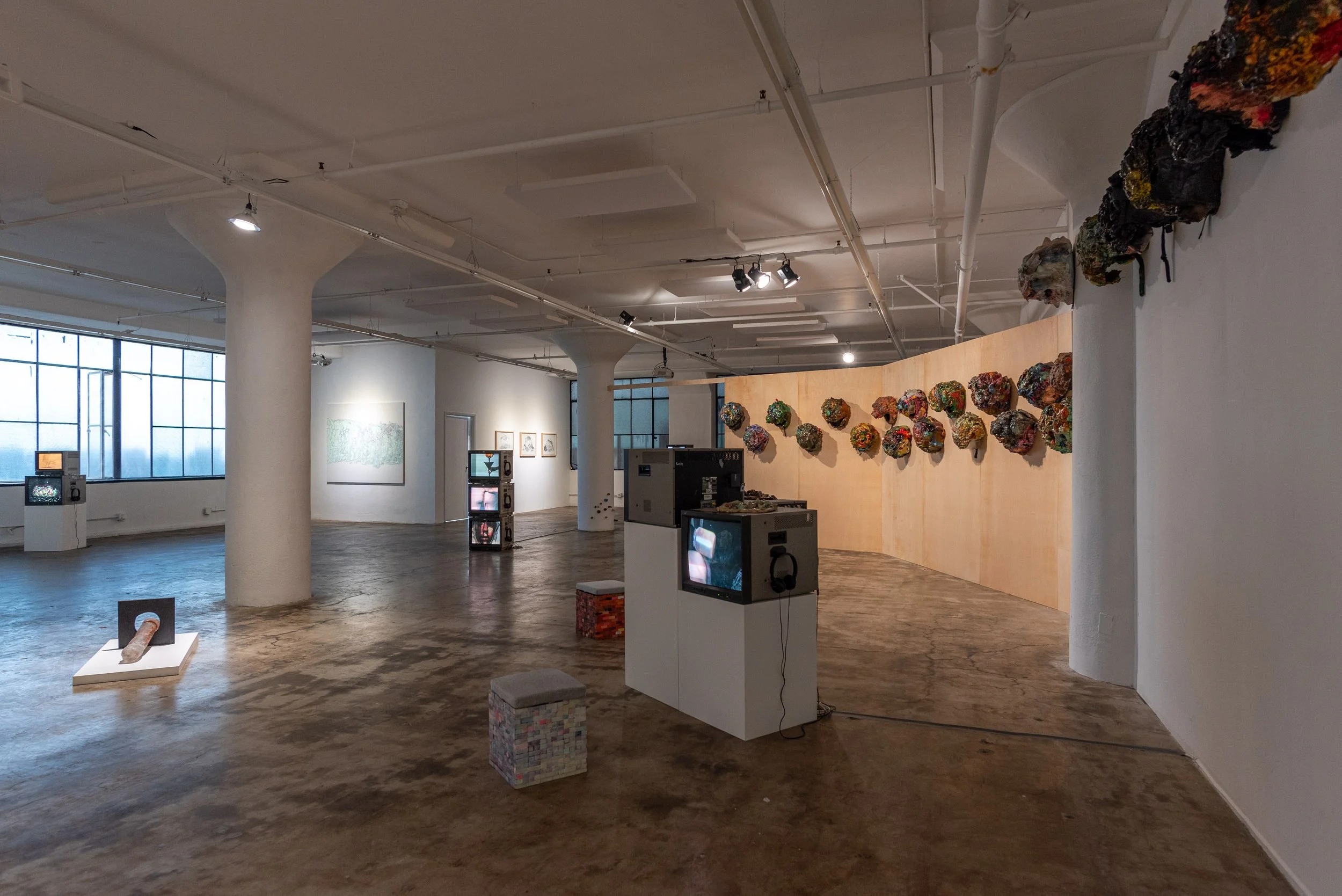 Aimee Goguen - Mountain of the Collapse - 4web_11.JPG