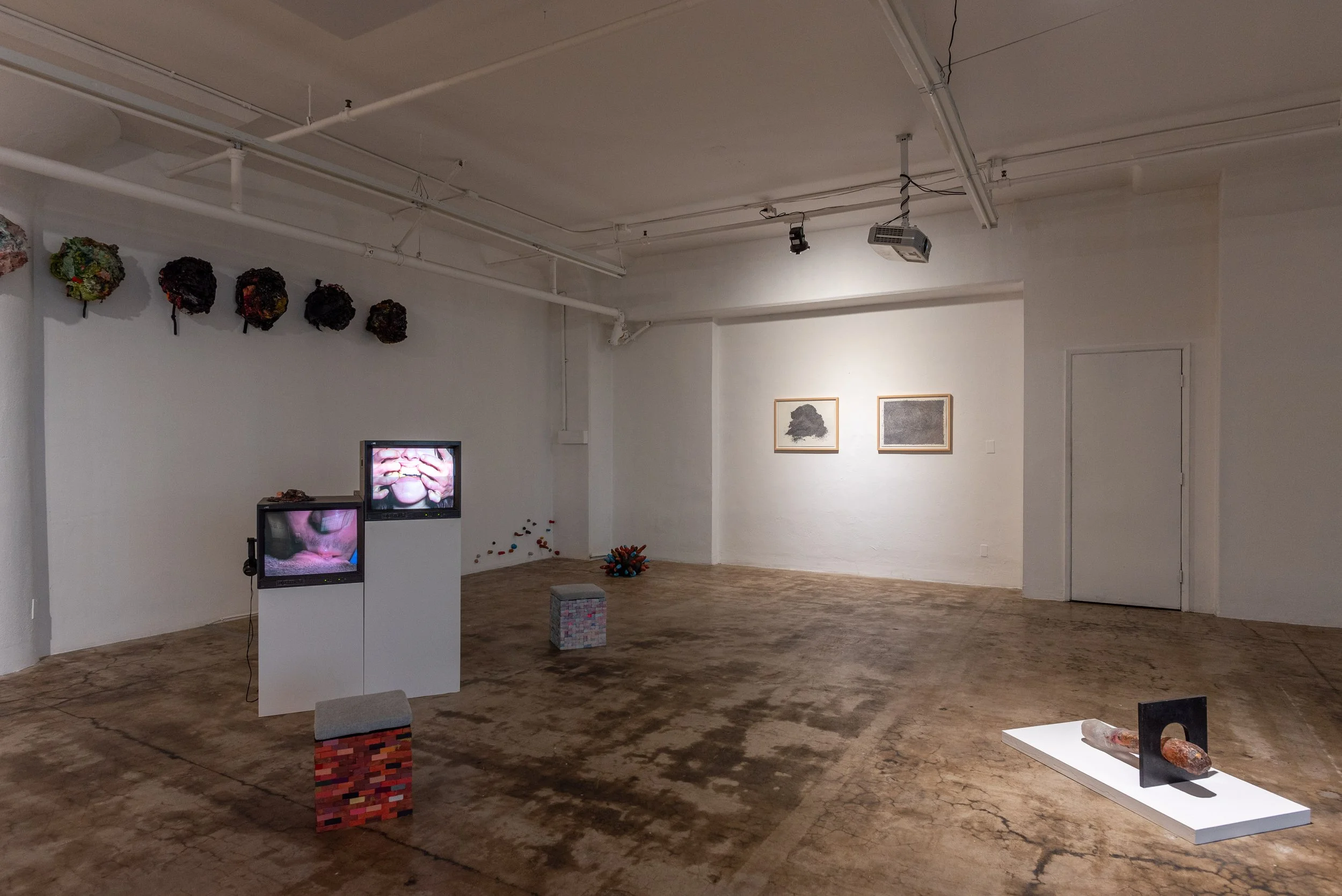 Aimee Goguen - Mountain of the Collapse - 4web_13.JPG