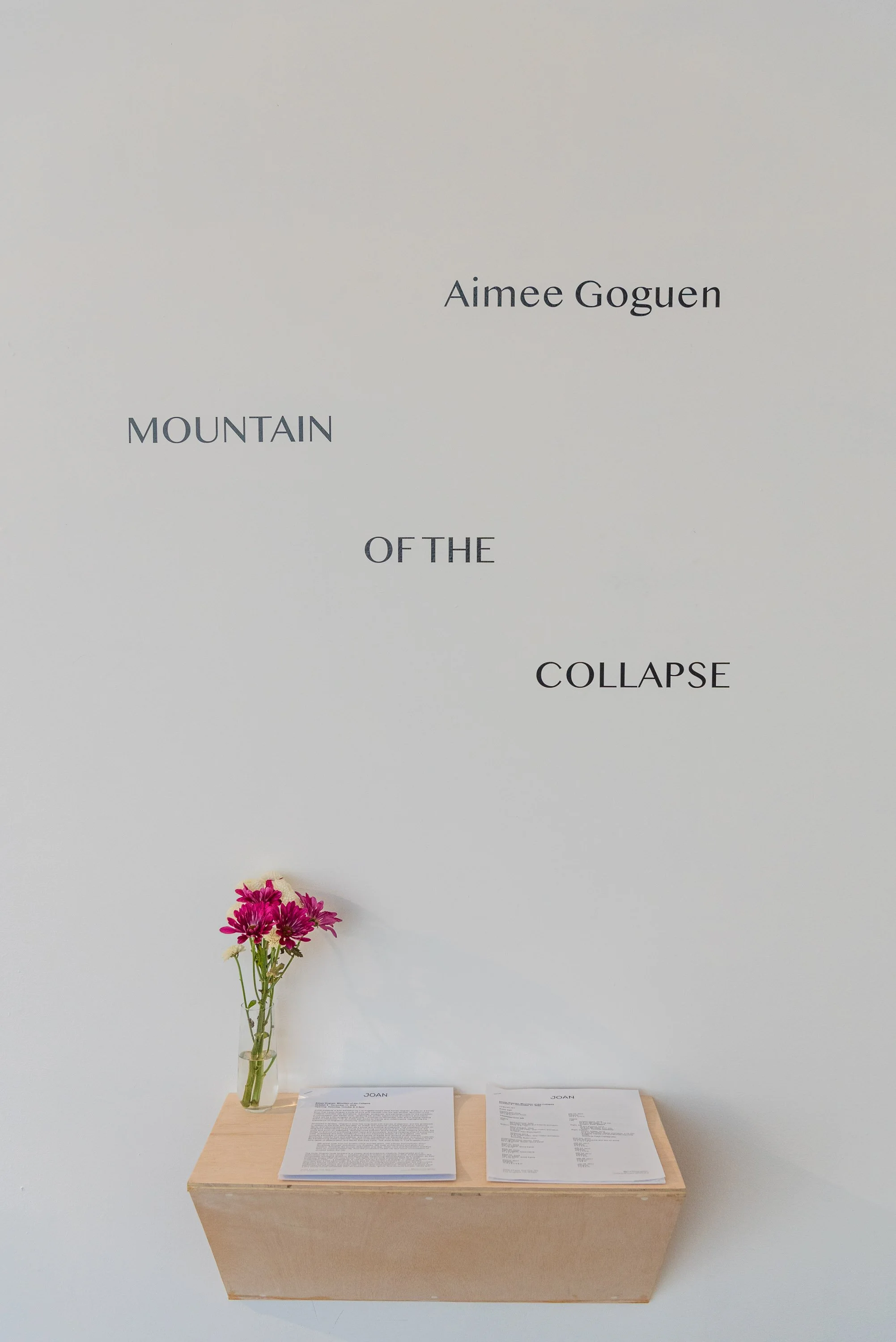 Aimee Goguen - Mountain of the Collapse - 4web_24.JPG