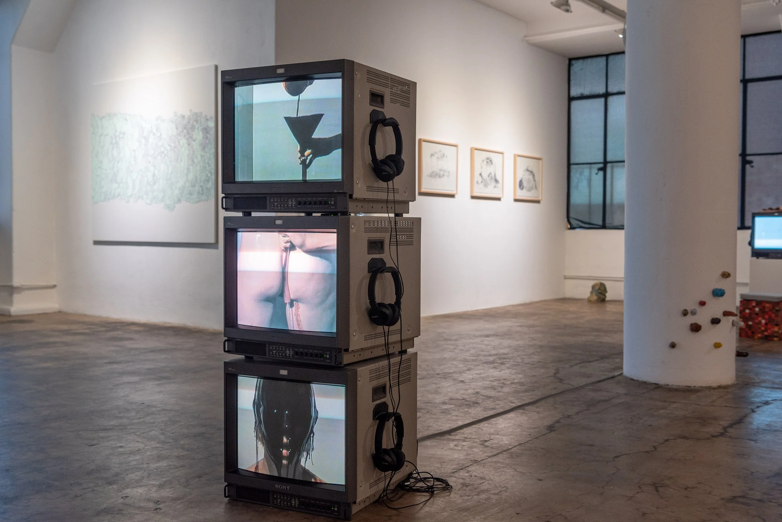 Aimee Goguen - Mountain of the Collapse - 4web_63.JPG