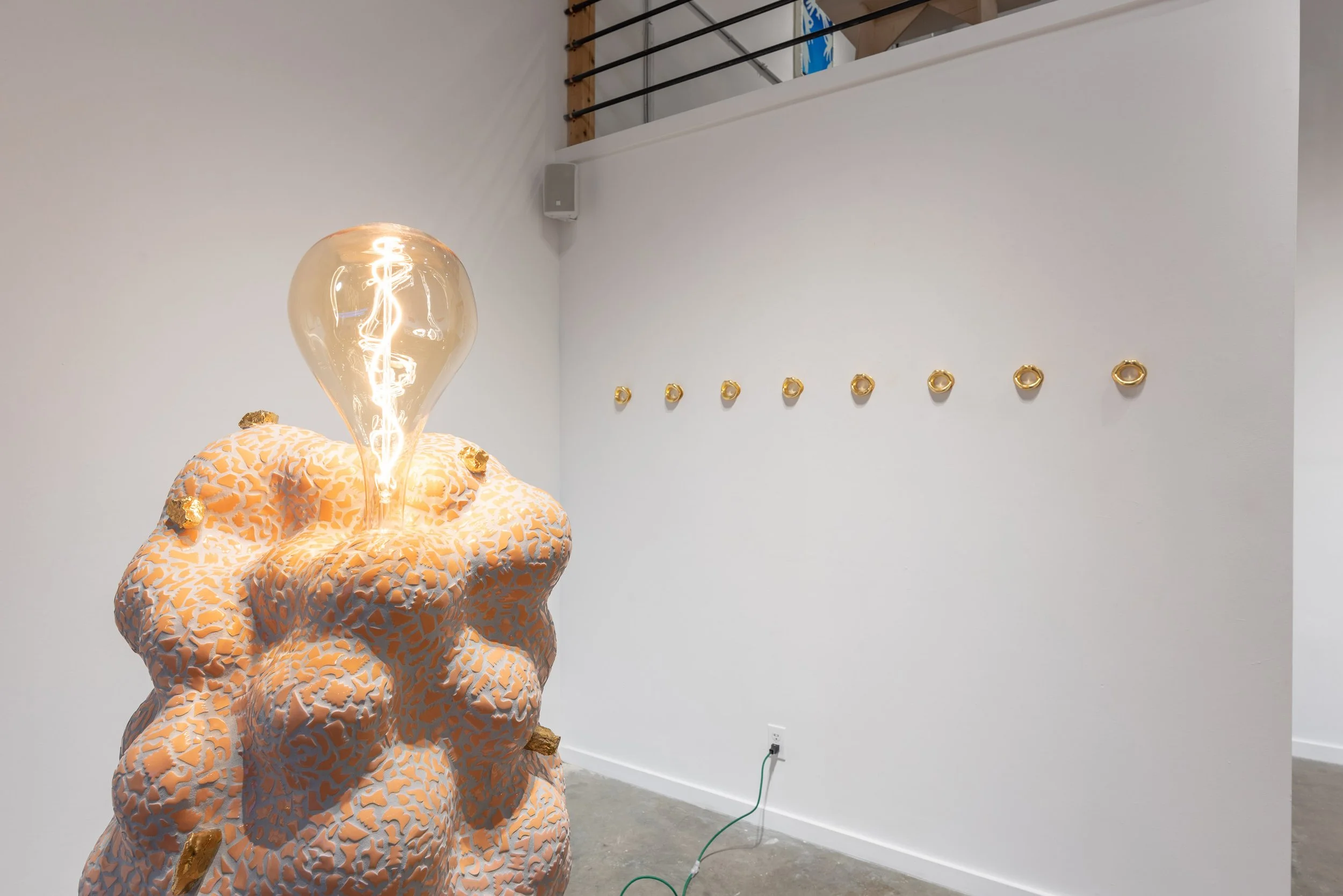 Mundus Inversus Install Photos  - small 01.jpg