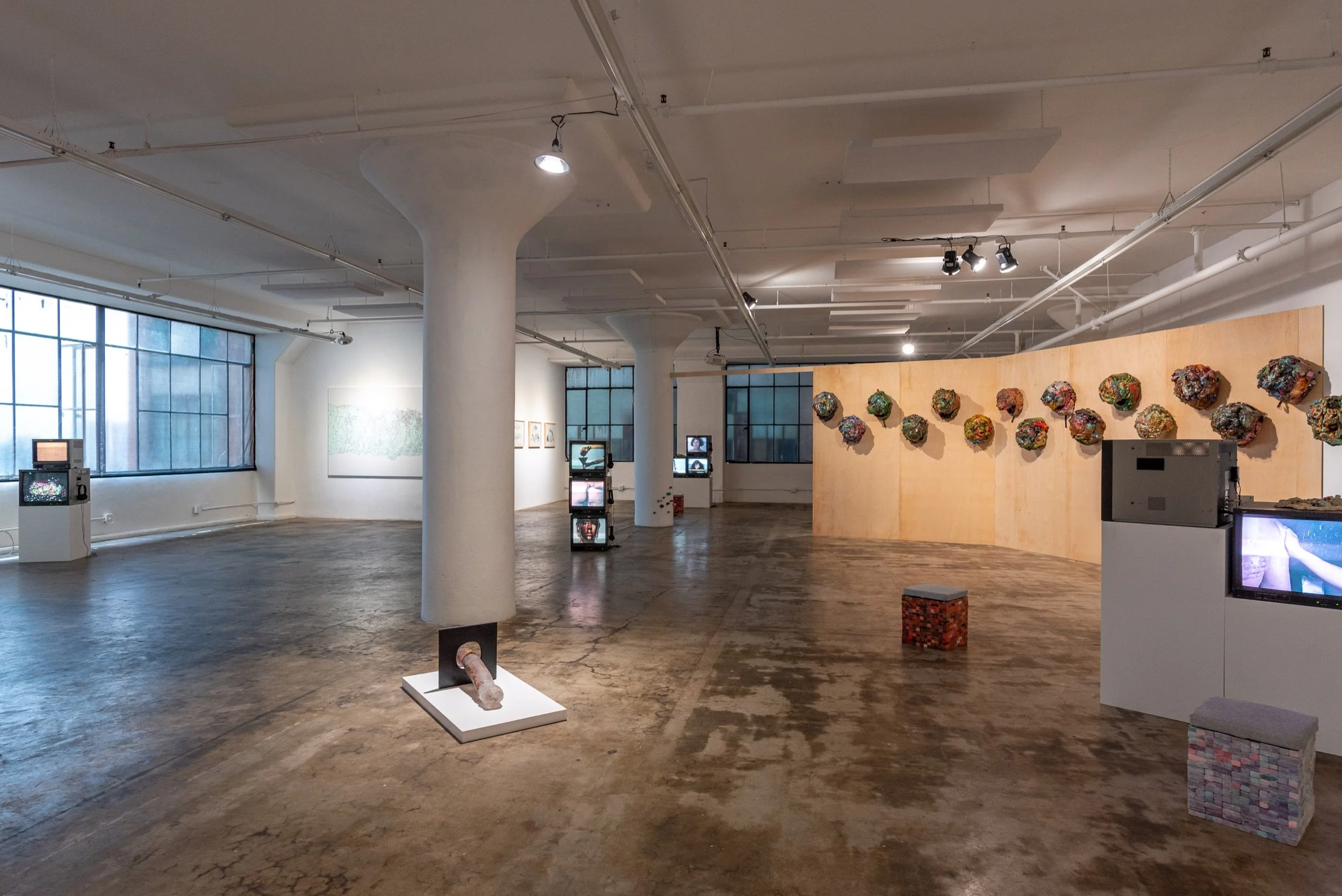 aimee goguen - mountain of the collapse - 4web_08.jpeg