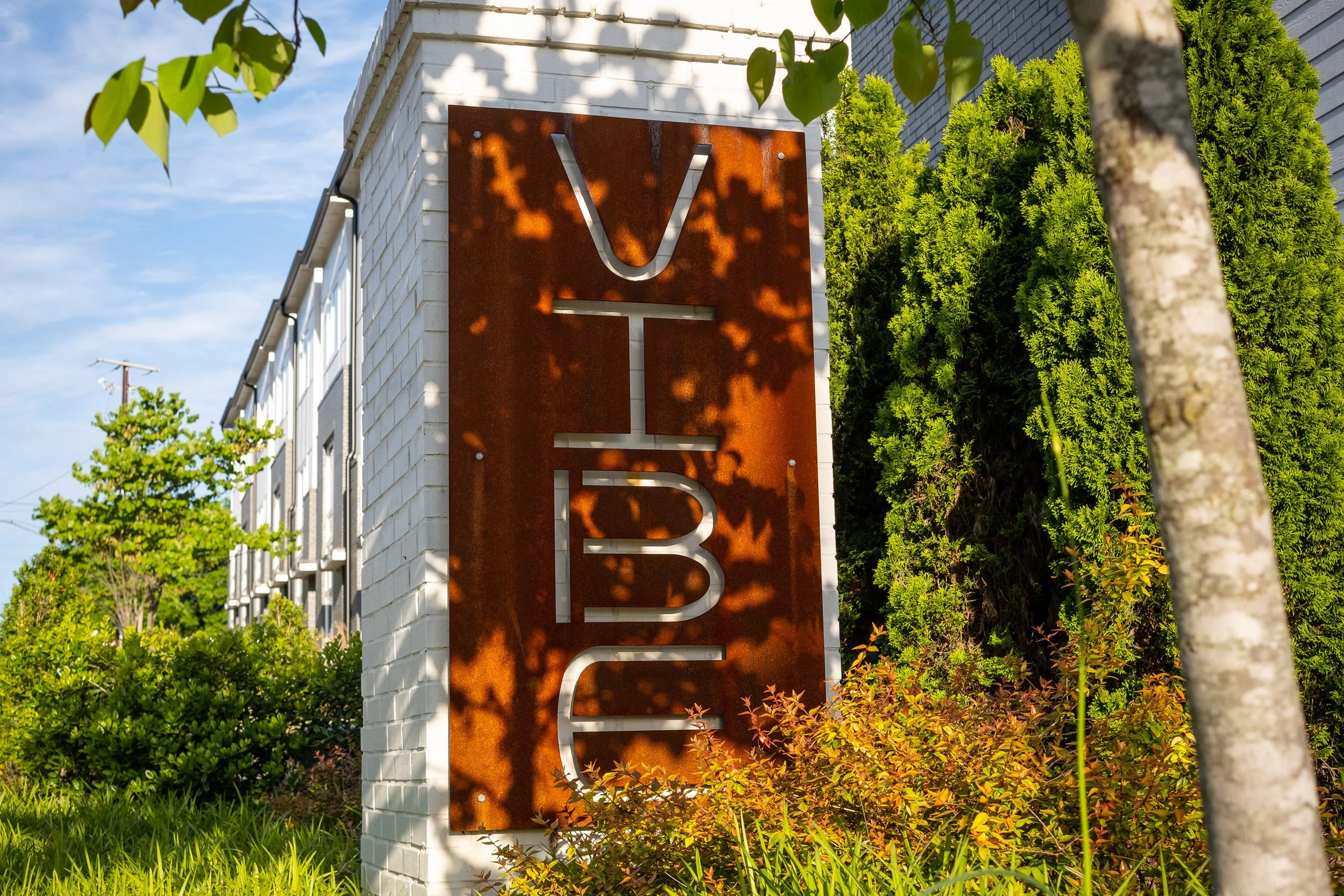 The Vibe Unit 5_53.JPG