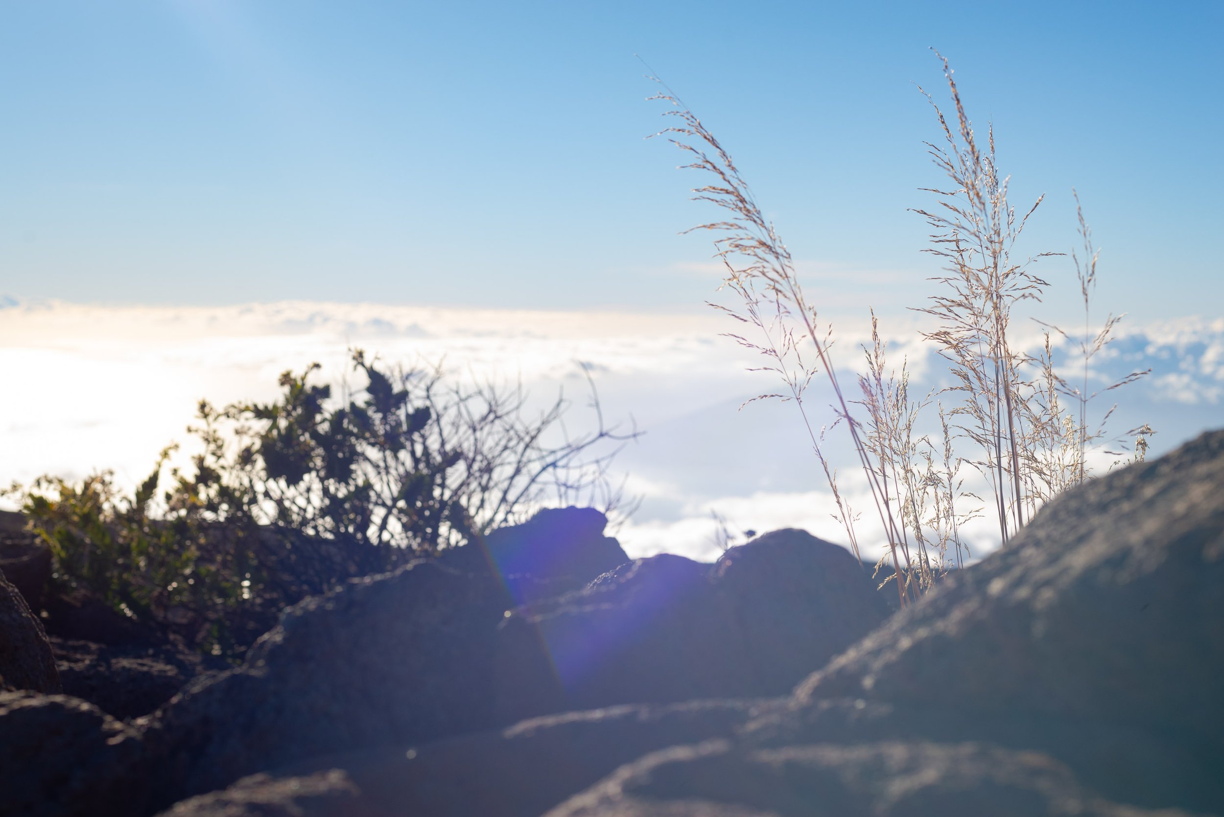 001_Haleakala Ridge_Christopher Wormald Photography.jpg