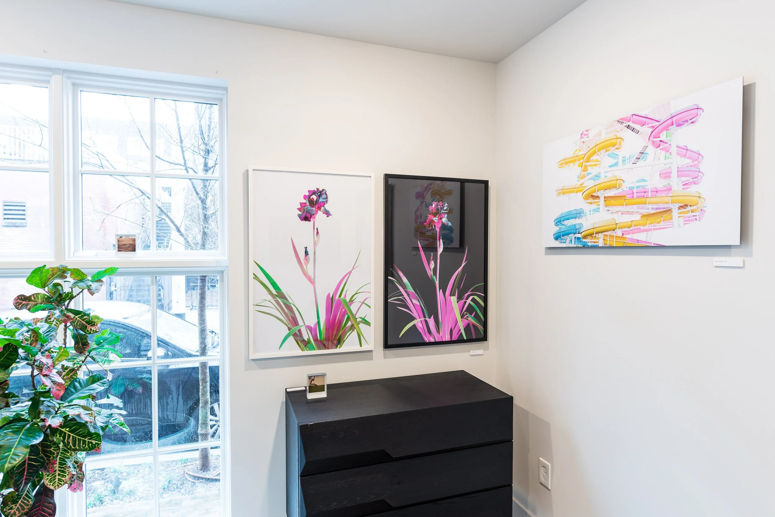 Benjy Russell Wilder Exhibition Updated05.jpg