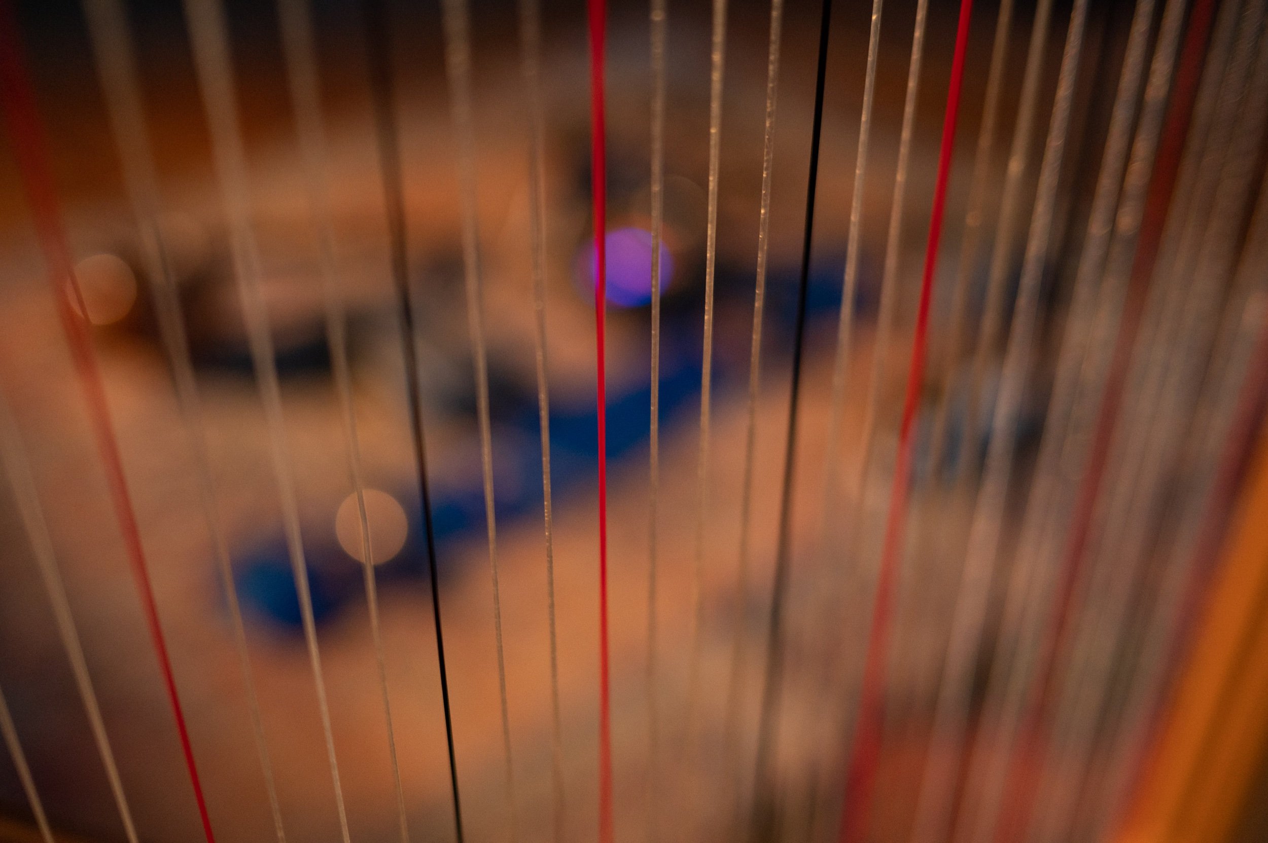 oracle egg may 8_07.jpeg