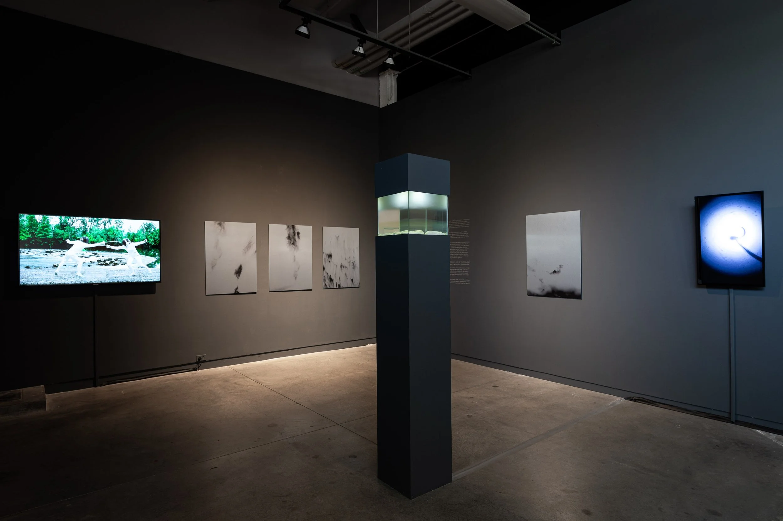 Marie-Luce Nadal- Nothing But Light_small_26.JPG