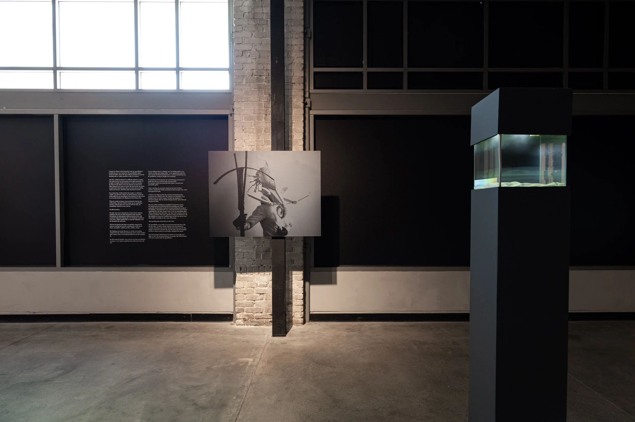 Marie-Luce Nadal- Nothing But Light_small_03.JPG