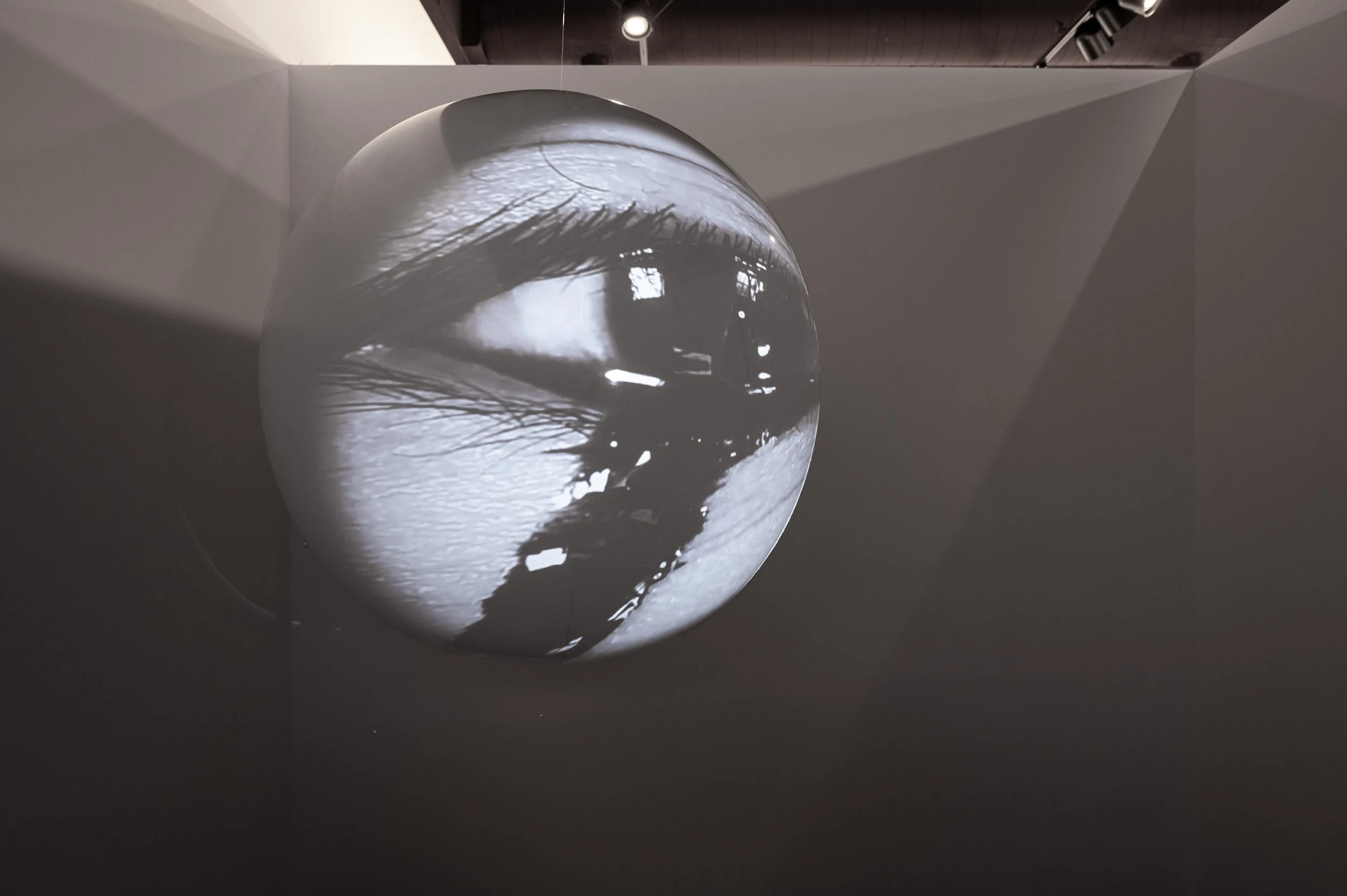 No Song Unsung_EDIT_small_CSW7238.JPG