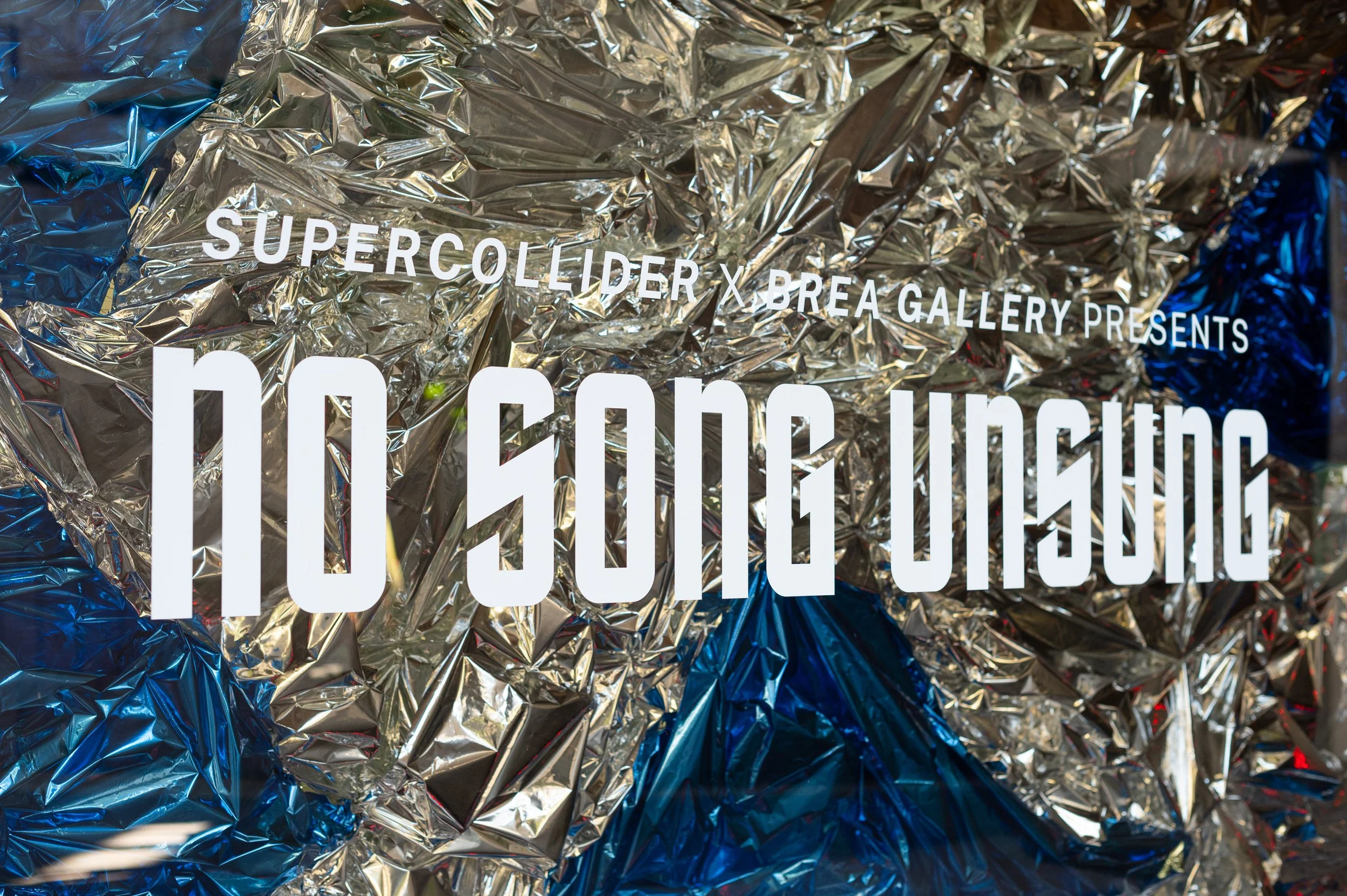 No Song Unsung_EDIT_small_CSW7383.JPG