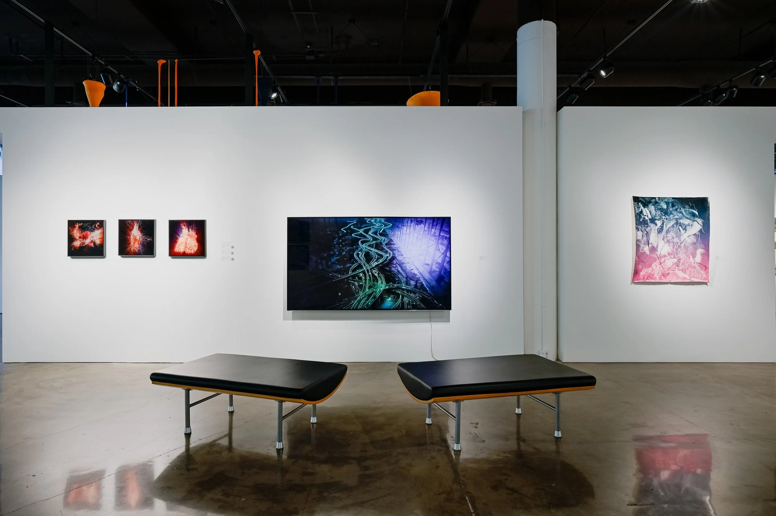 No Song Unsung_EDIT_small_CSW7302.JPG