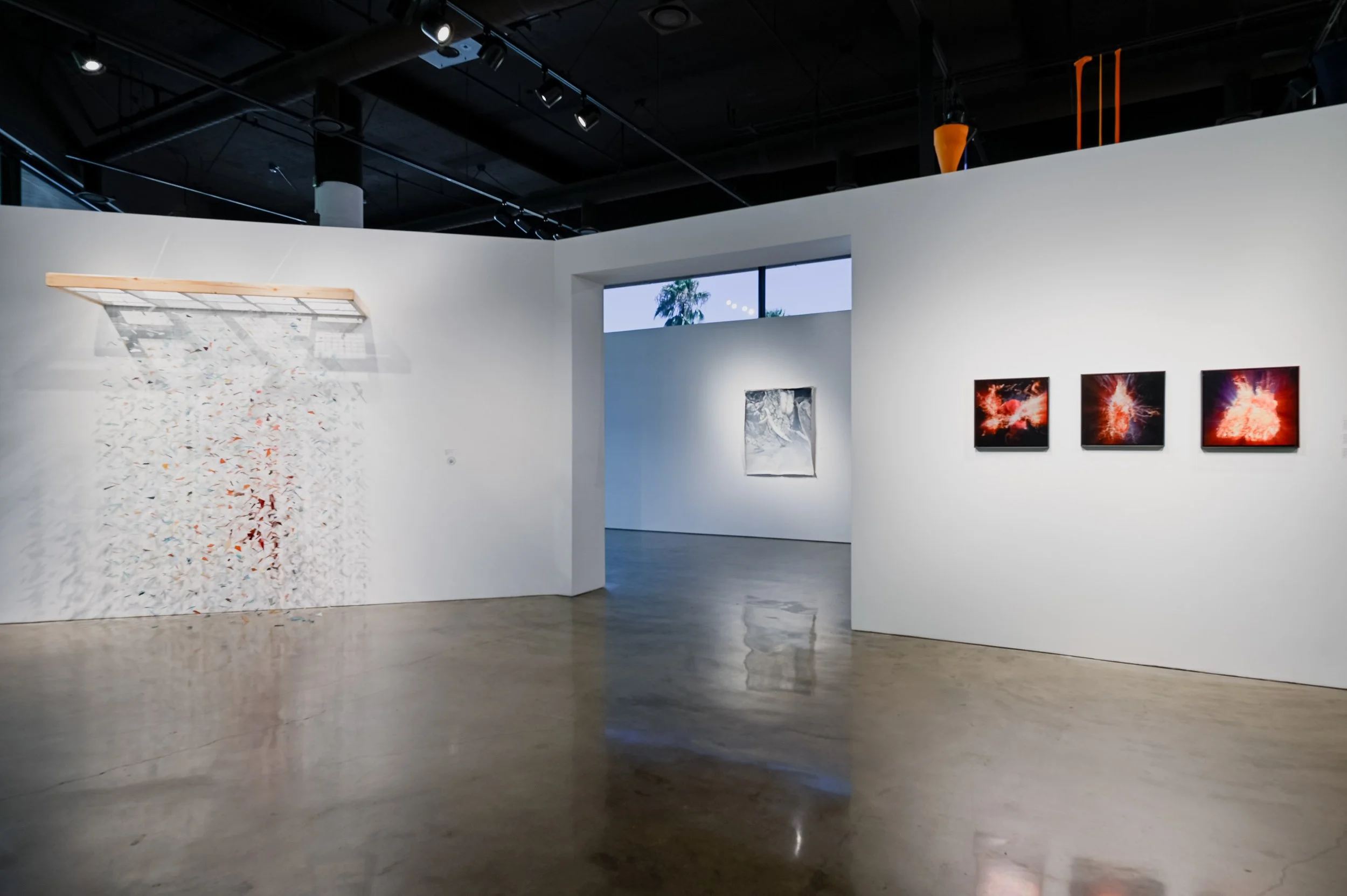 No Song Unsung_EDIT_small_CSW7291.JPG