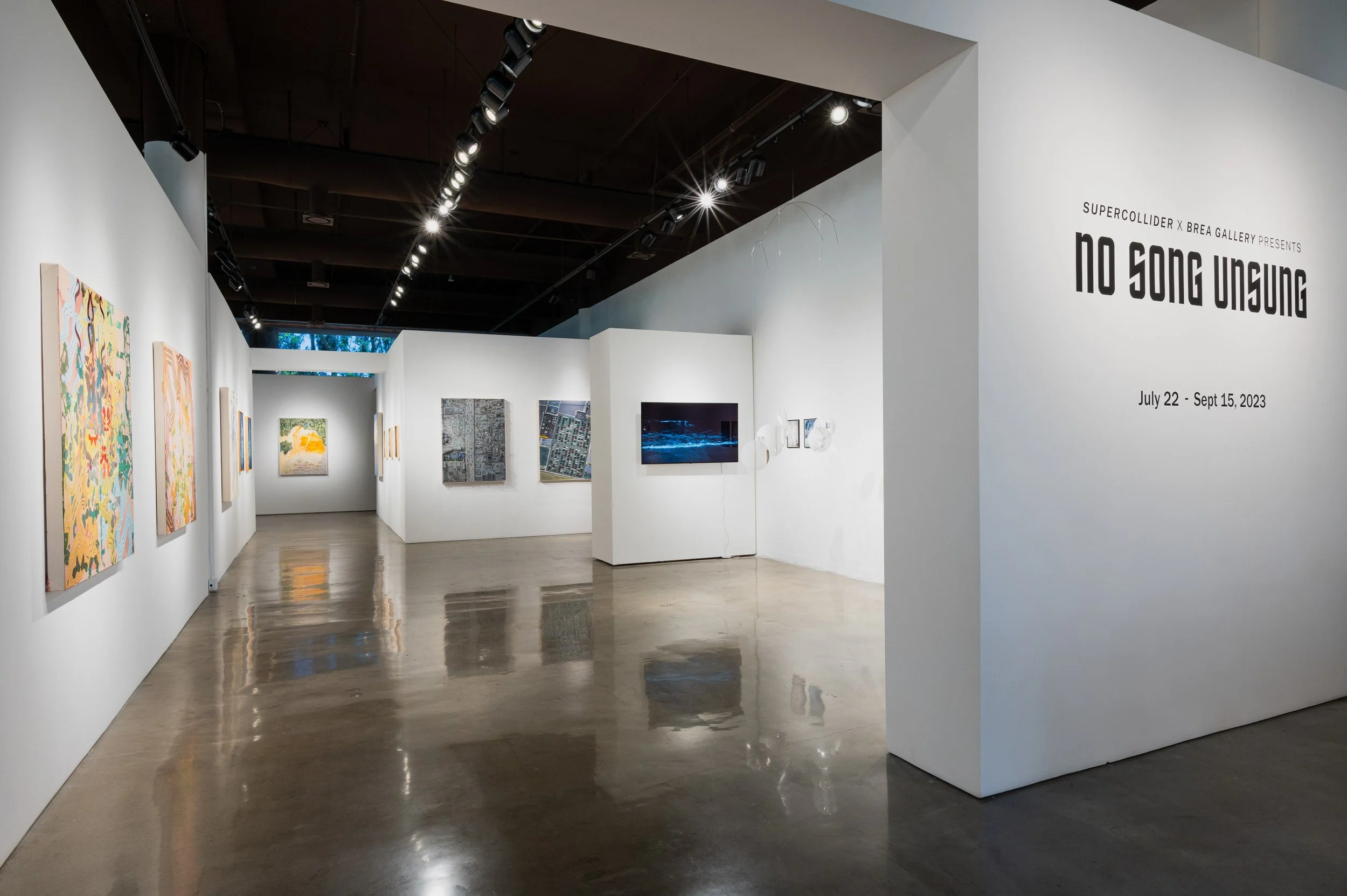 No Song Unsung_EDIT_small_CSW7181.JPG