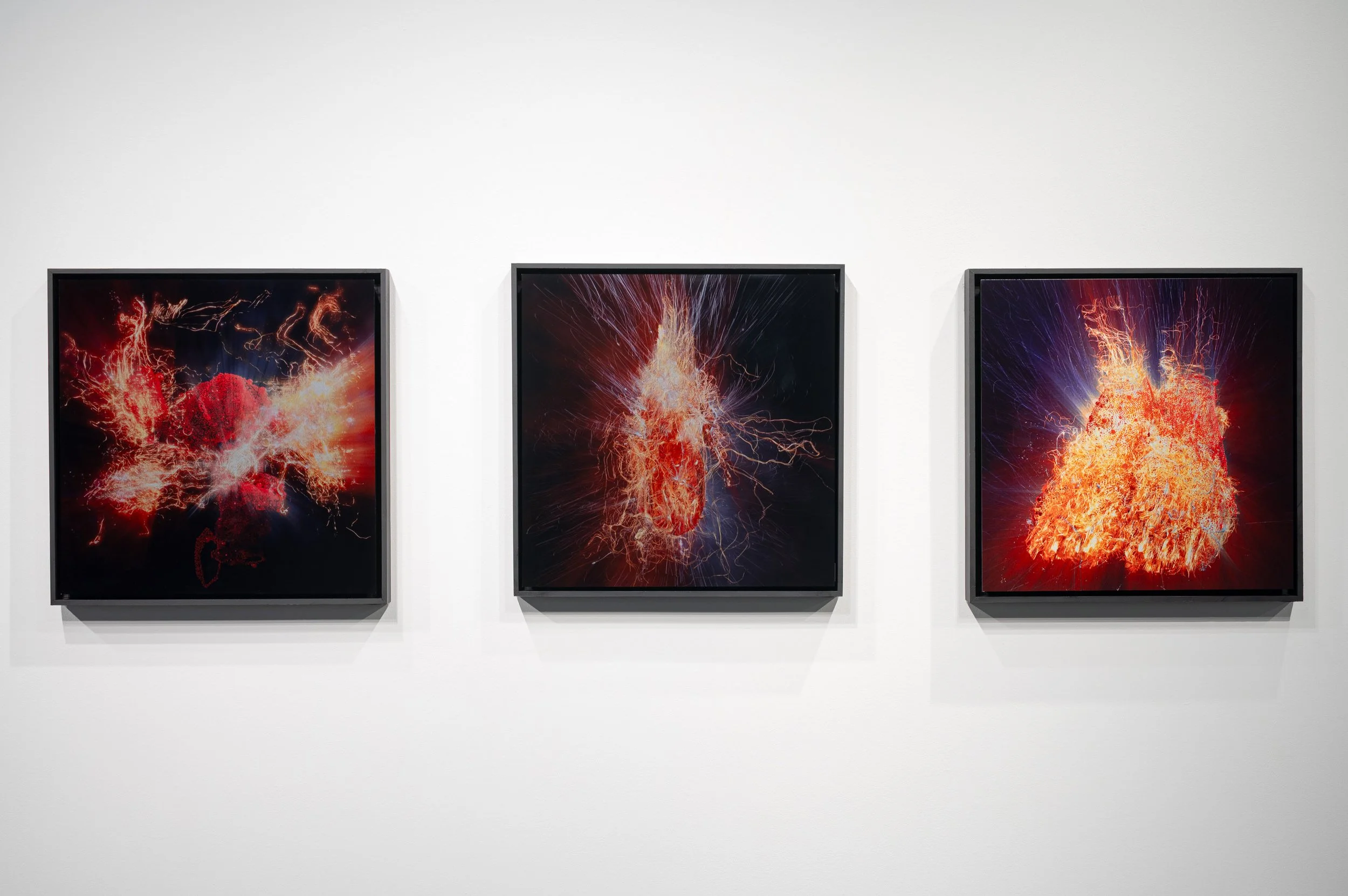 No Song Unsung_EDIT_small_CSW7016.JPG