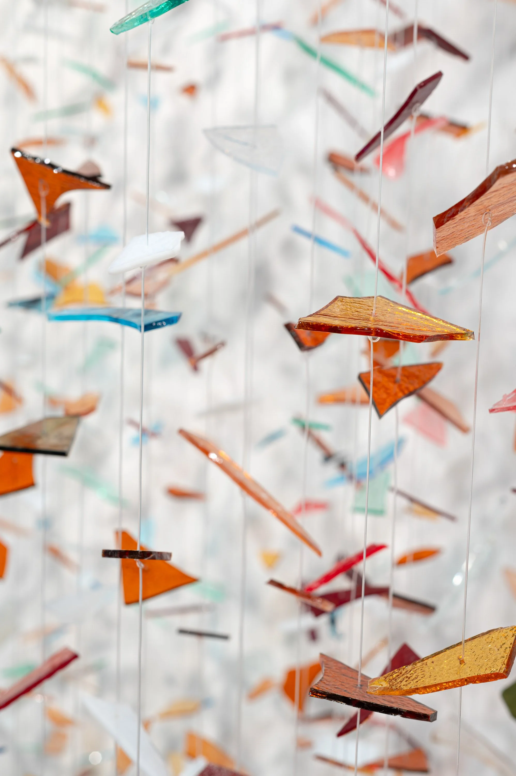 No Song Unsung_EDIT_small_CSW7014.JPG