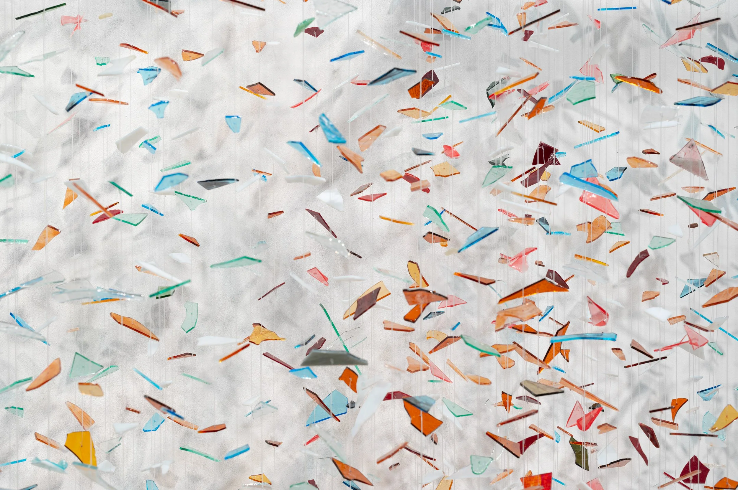 No Song Unsung_EDIT_small_CSW7012.JPG