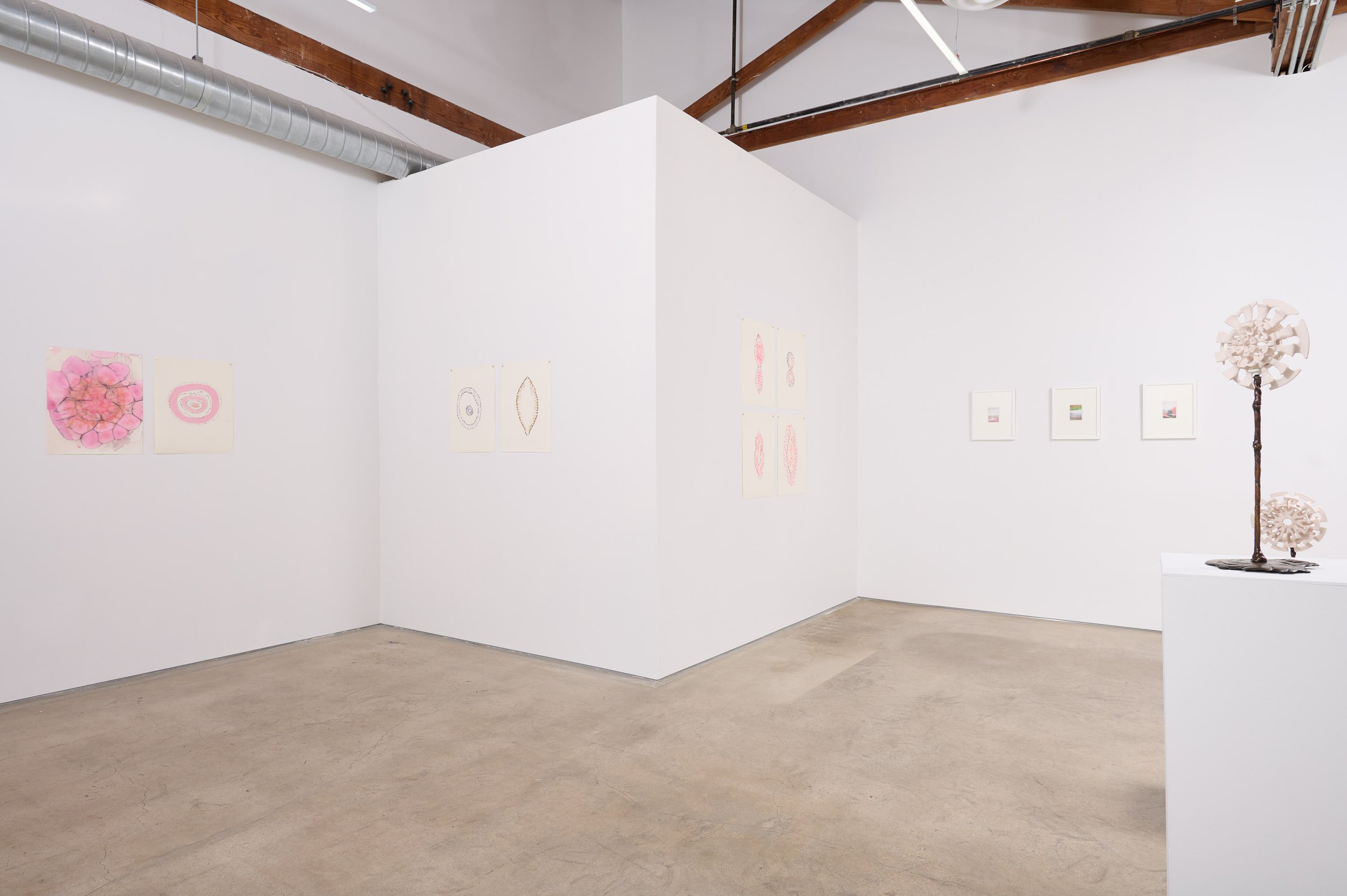 Yassi Mazandi - Born-Porcelain_0082.JPG