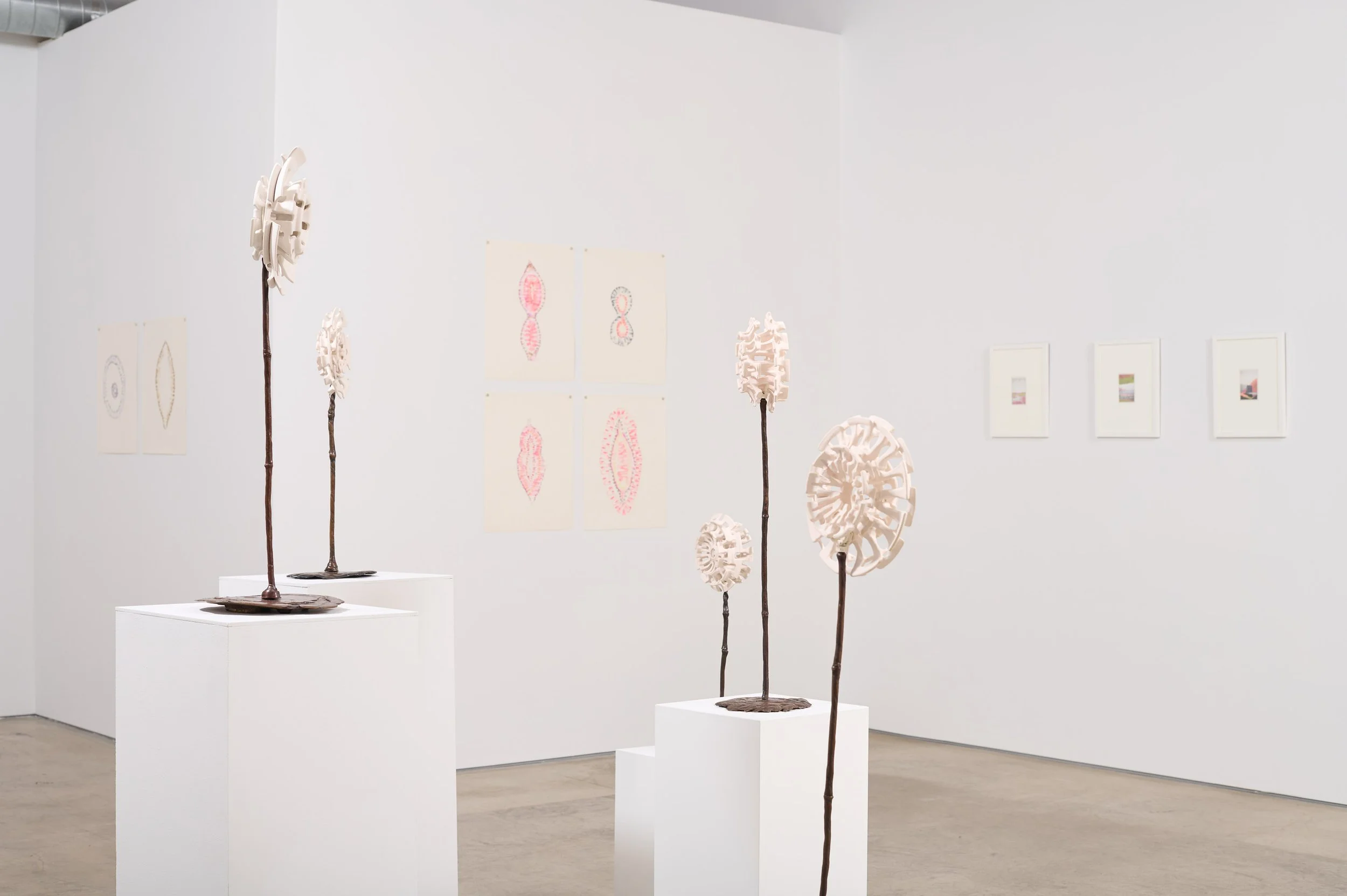 Yassi Mazandi - Born-Porcelain_0091.JPG