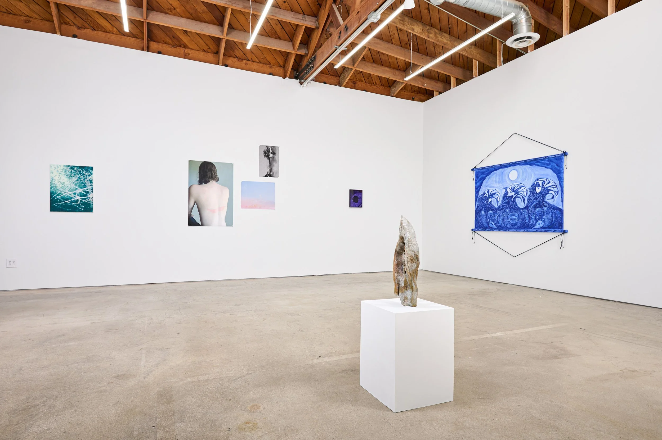 Make Room - Heat Advisory_0953.JPG