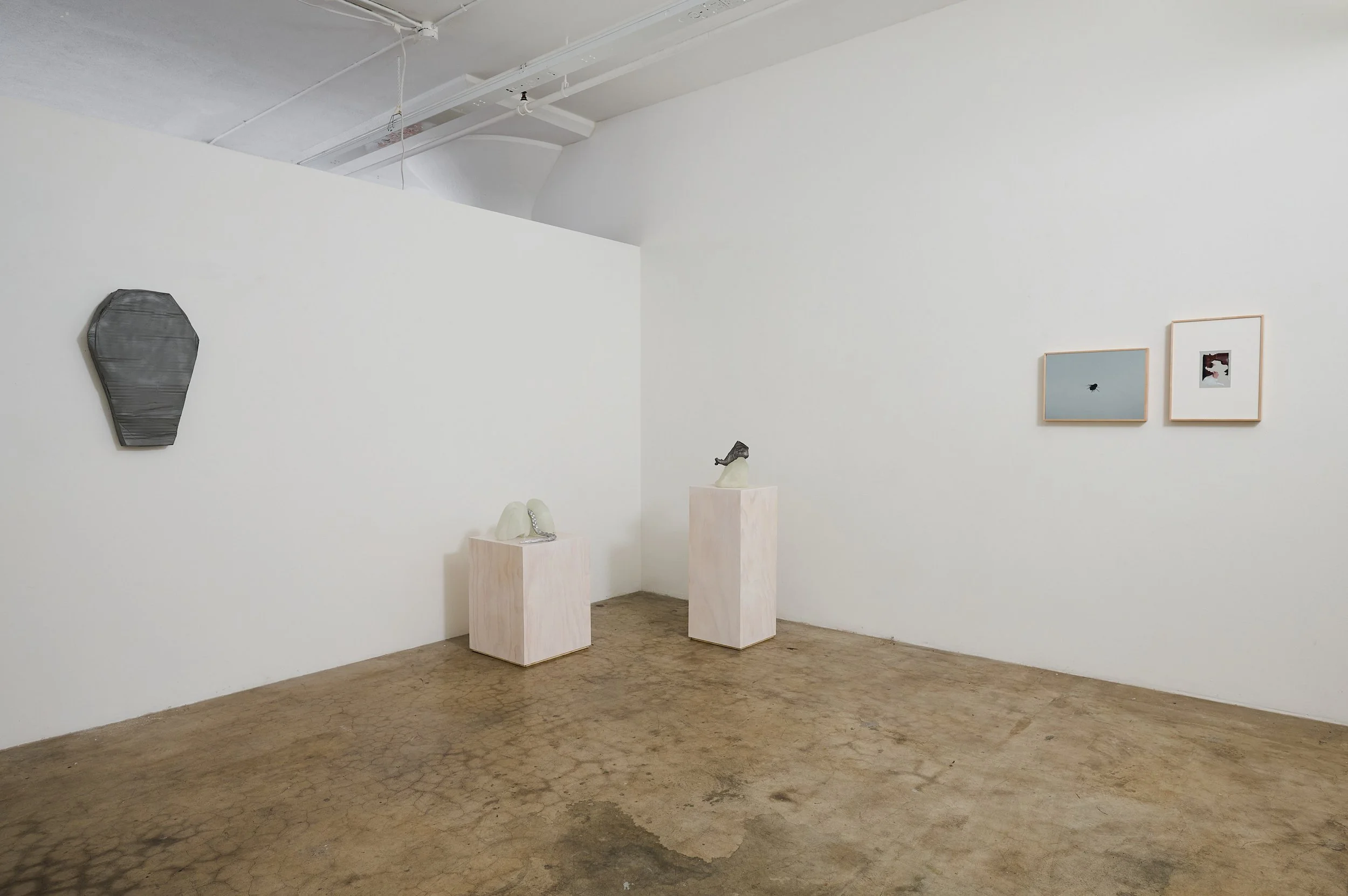 Who Is Afraid of Matter_small_5.jpg