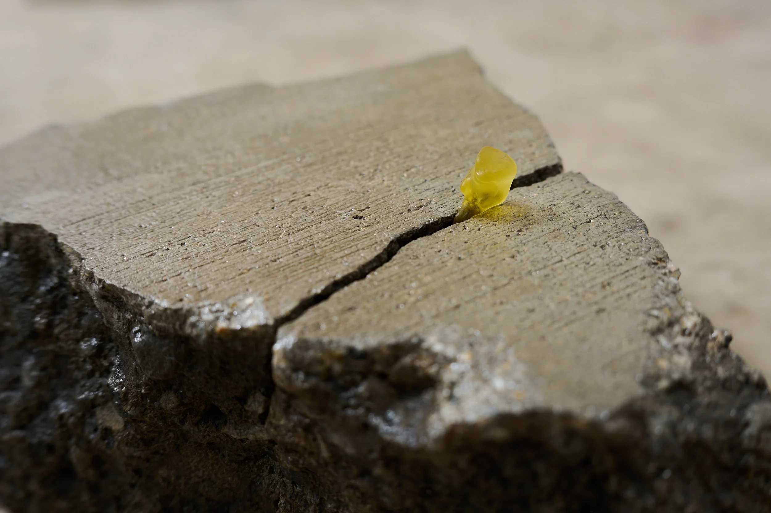 Who Is Afraid of Matter_small_28.jpg