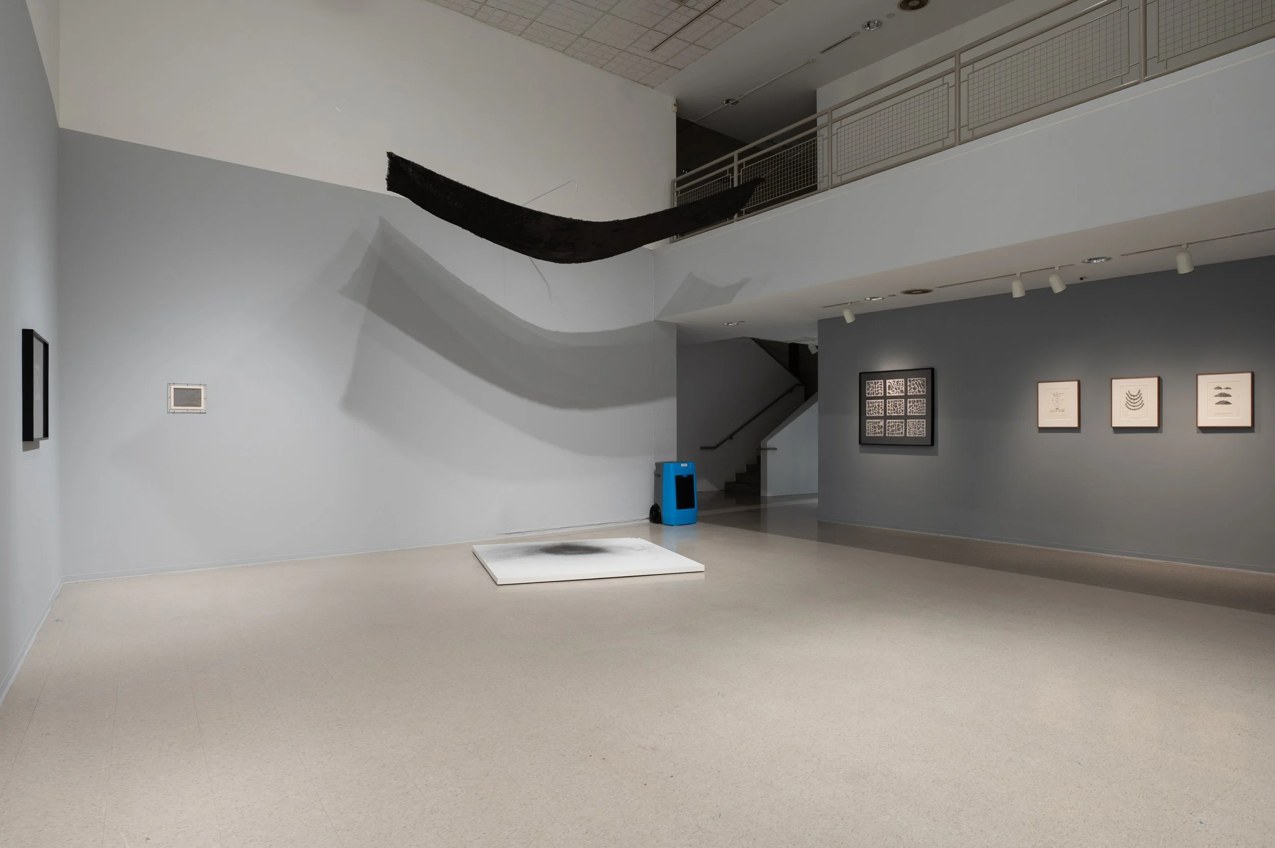 Gala Porras-Kim- Between Lapses of Histories_small_CSW2908.jpg