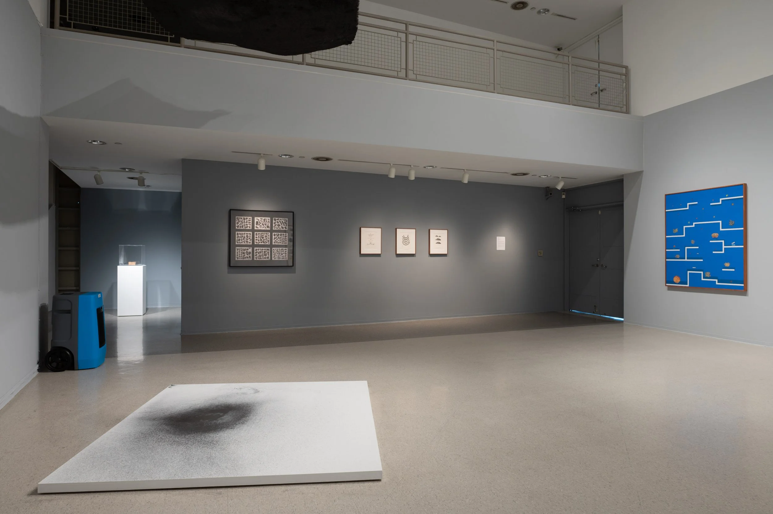 Gala Porras-Kim- Between Lapses of Histories_small_CSW2911.jpg