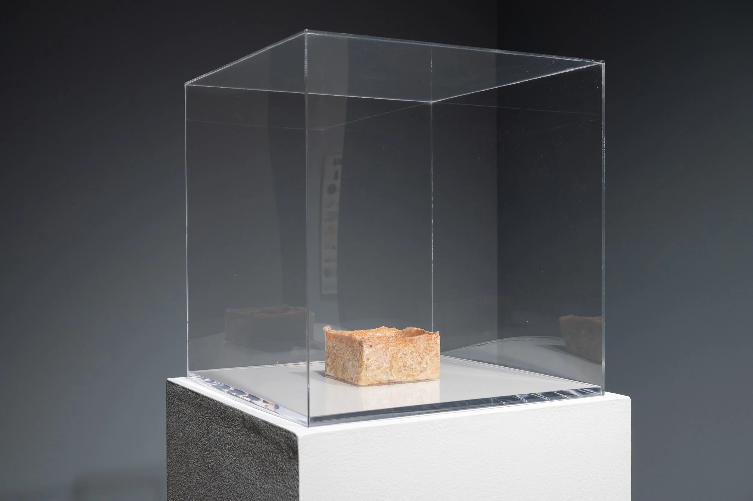 Gala Porras-Kim- Between Lapses of Histories_small__CSW2016.jpg