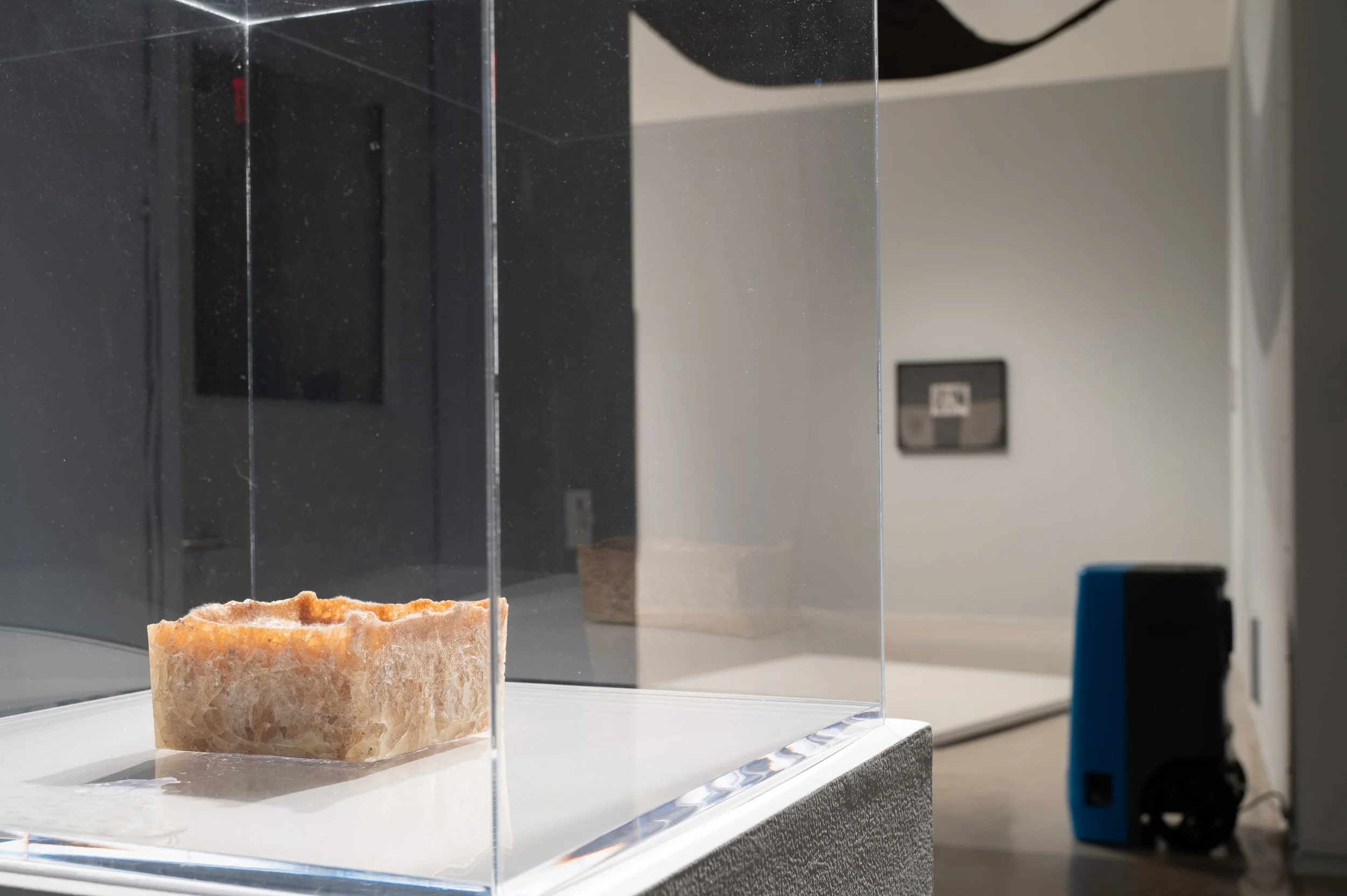 Gala Porras-Kim- Between Lapses of Histories_small__CSW2028.jpg